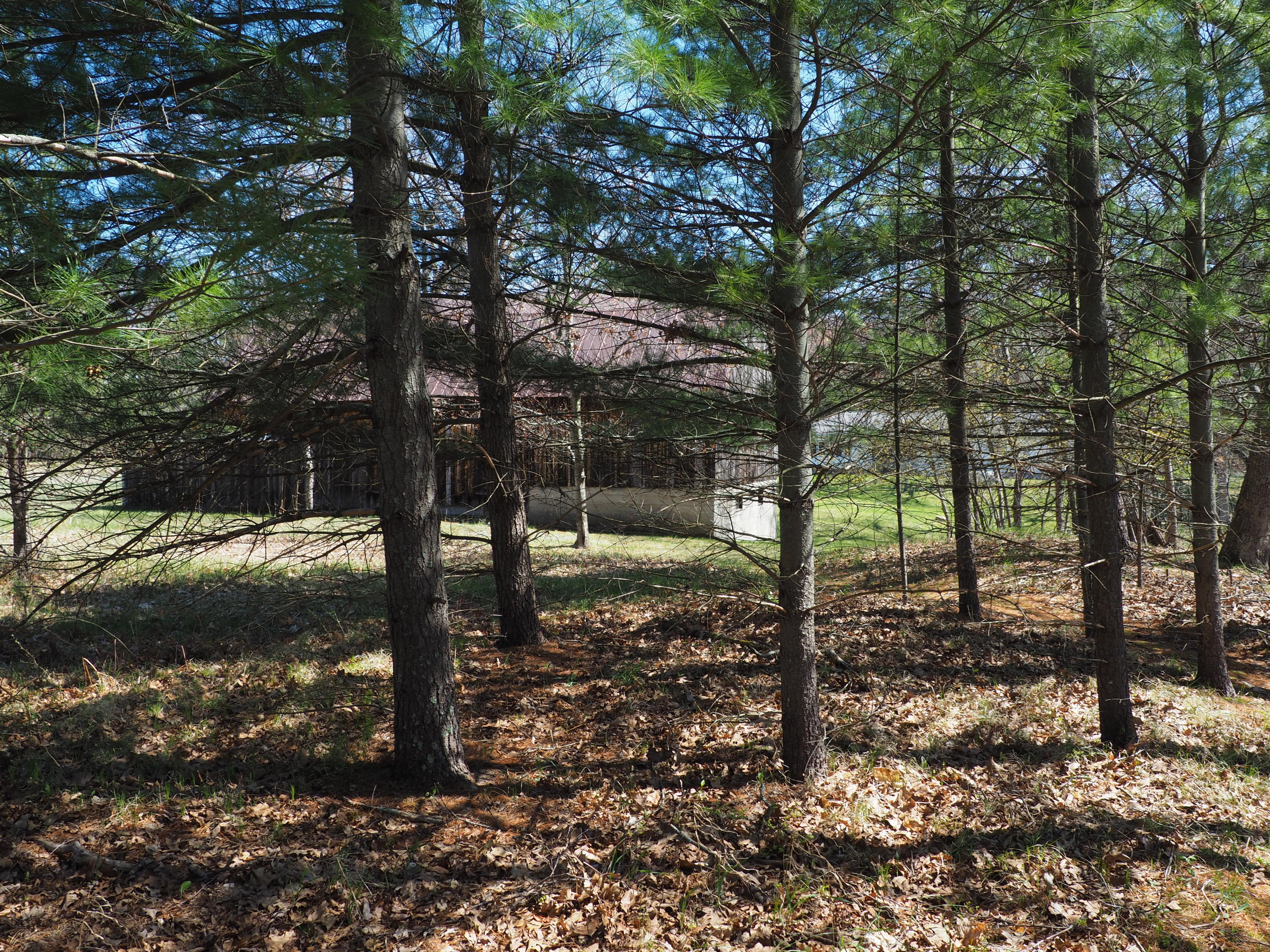 9149 North Bass Lake Road Irons, MI 49644 - Photo 104 of 139 P4290101