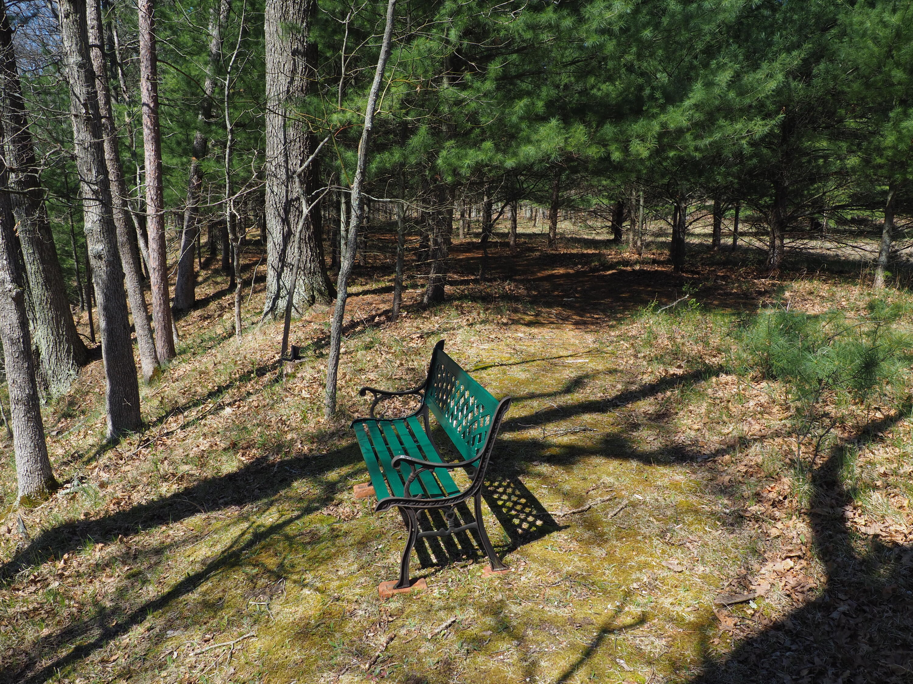 9149 North Bass Lake Road Irons, MI 49644 - Photo 105 of 139 P4290102