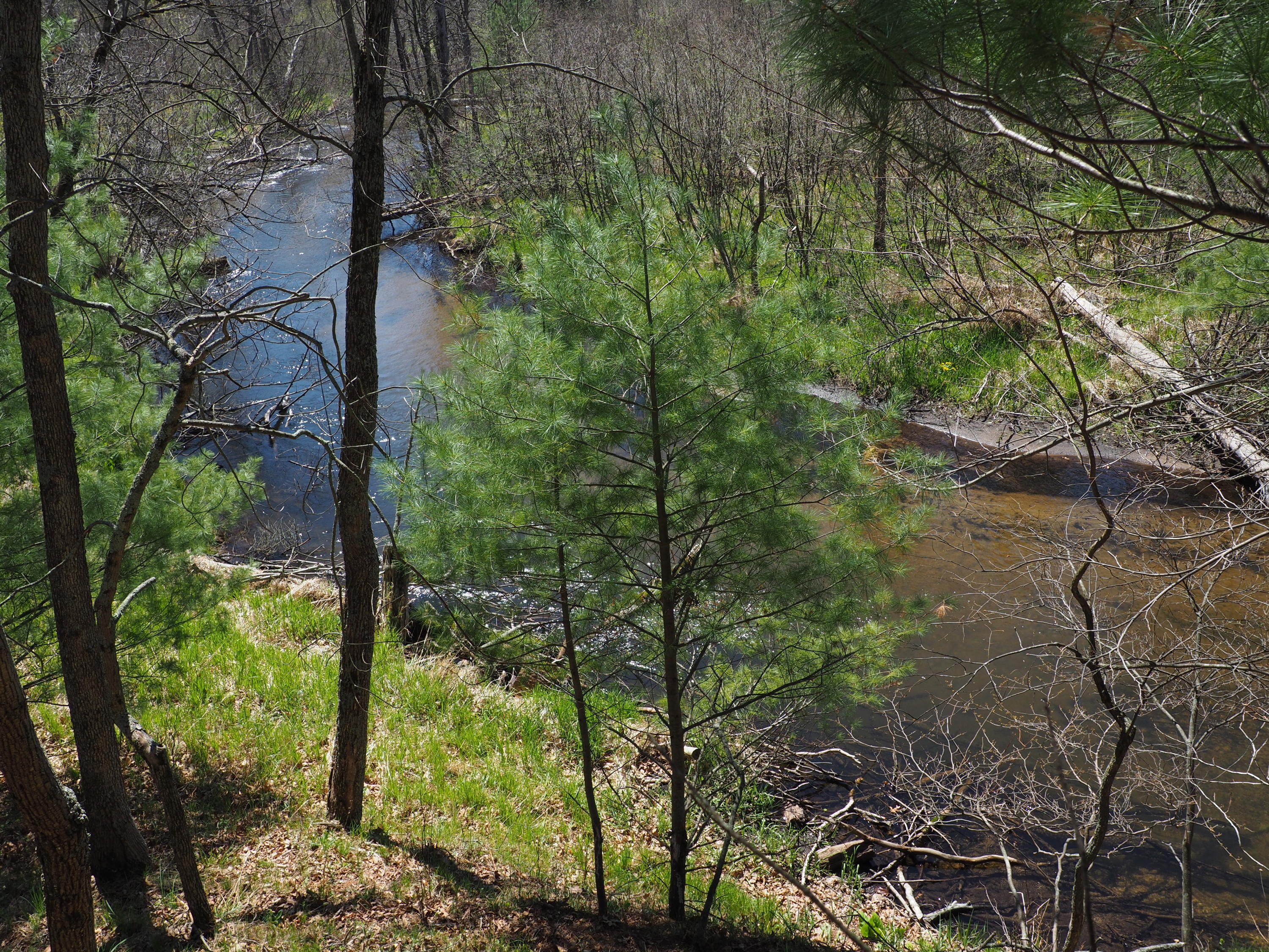 9149 North Bass Lake Road Irons, MI 49644 - Photo 108 of 139 P4290105