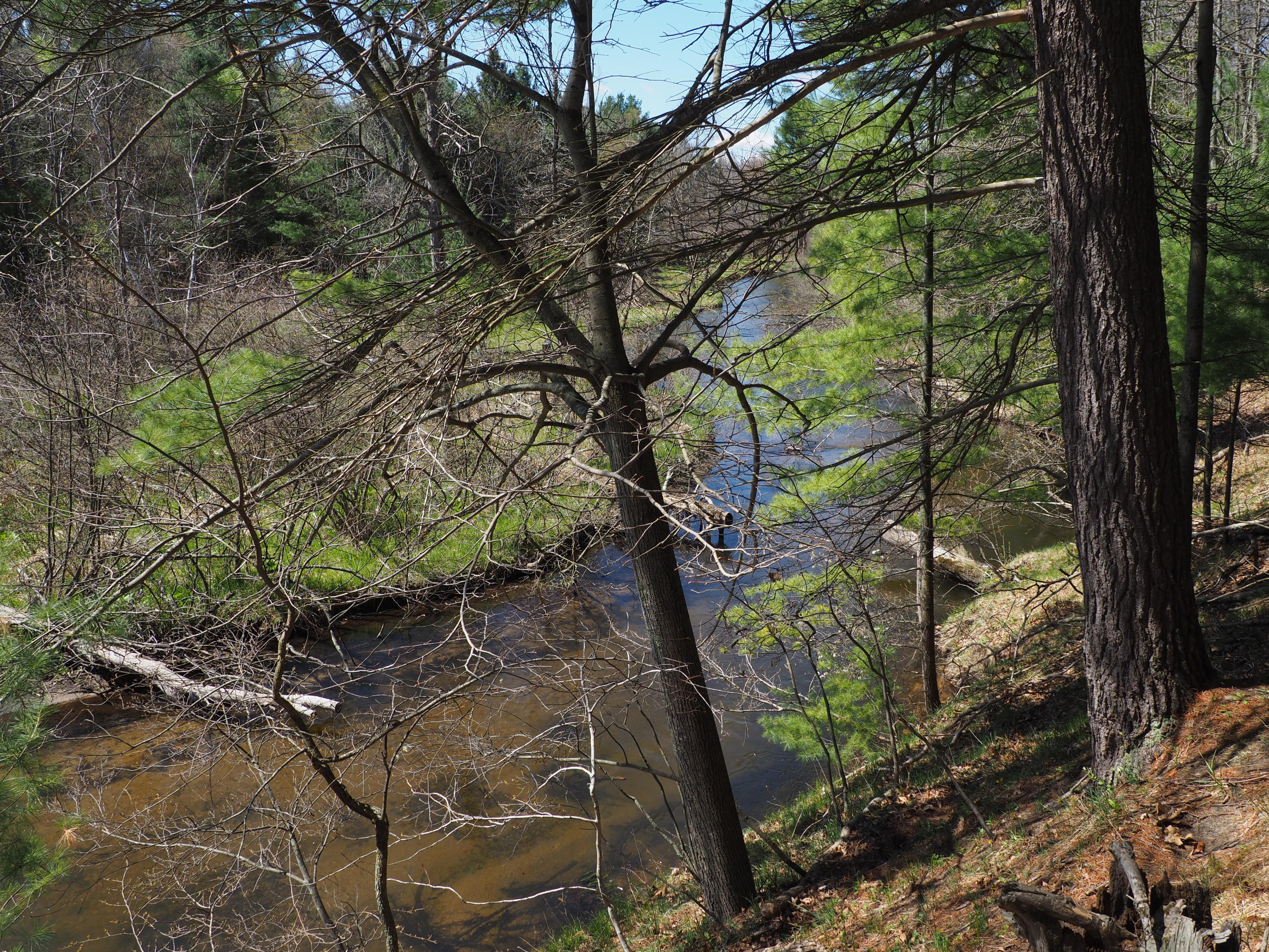 9149 North Bass Lake Road Irons, MI 49644 - Photo 109 of 139 P4290106