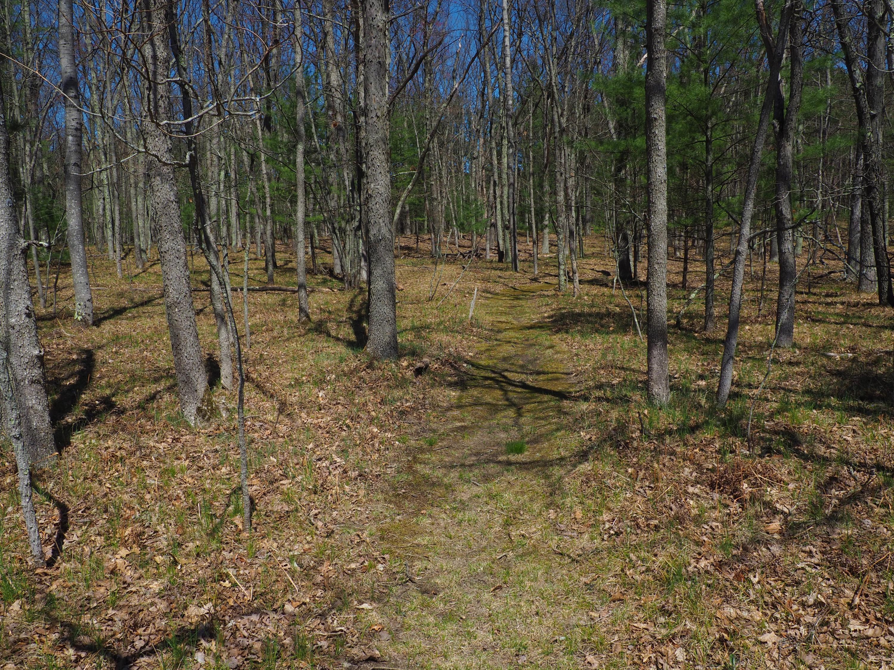 9149 North Bass Lake Road Irons, MI 49644 - Photo 120 of 139 P4290117