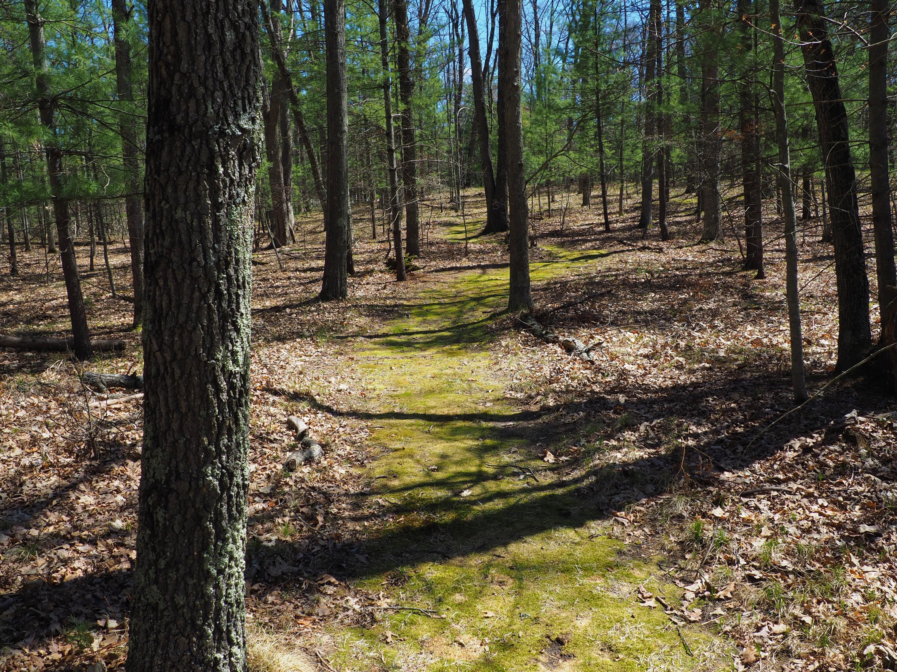 9149 North Bass Lake Road Irons, MI 49644 - Photo 128 of 139 P4290126