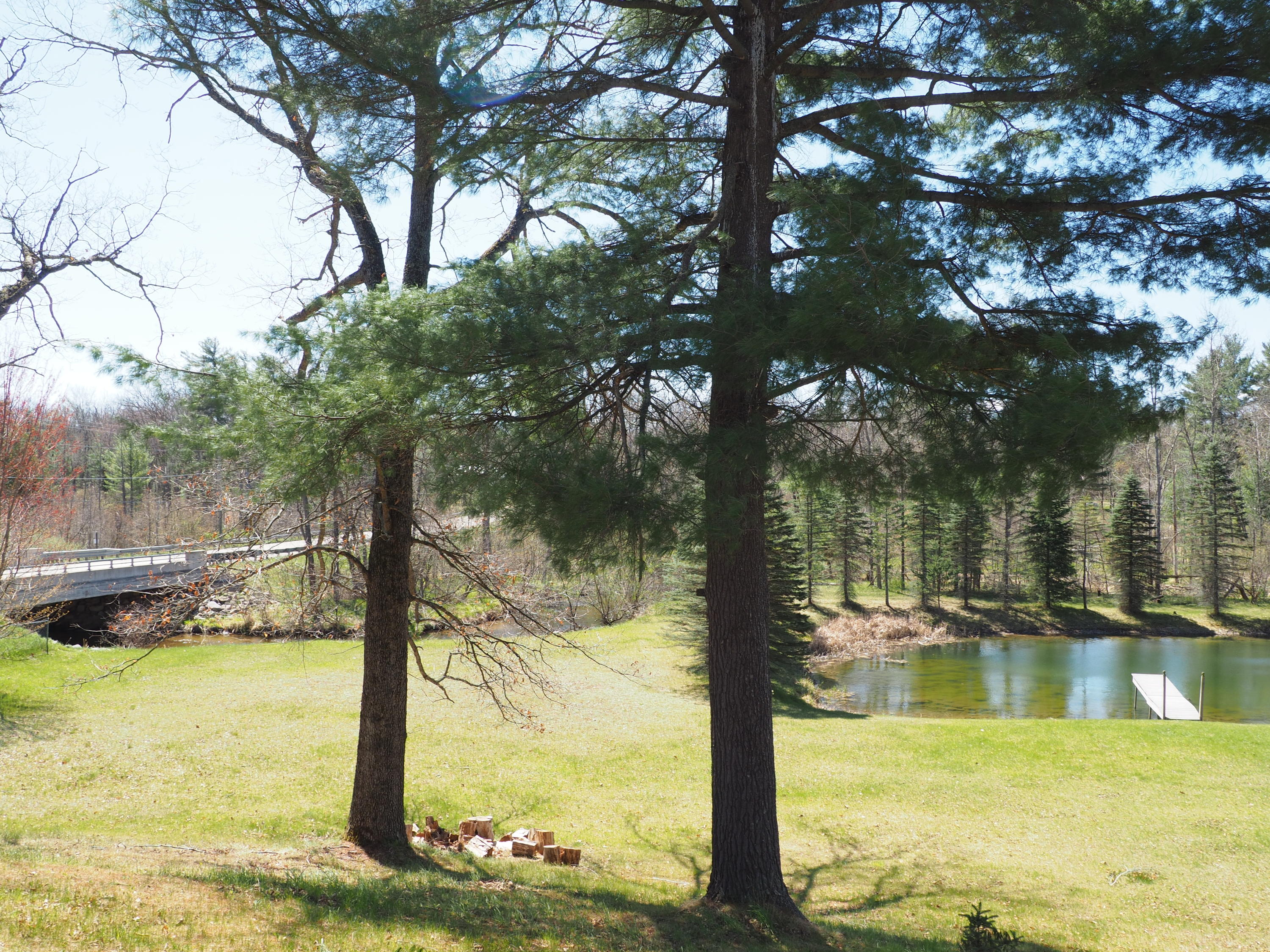 9149 North Bass Lake Road Irons, MI 49644 - Photo 138 of 139 P4290141