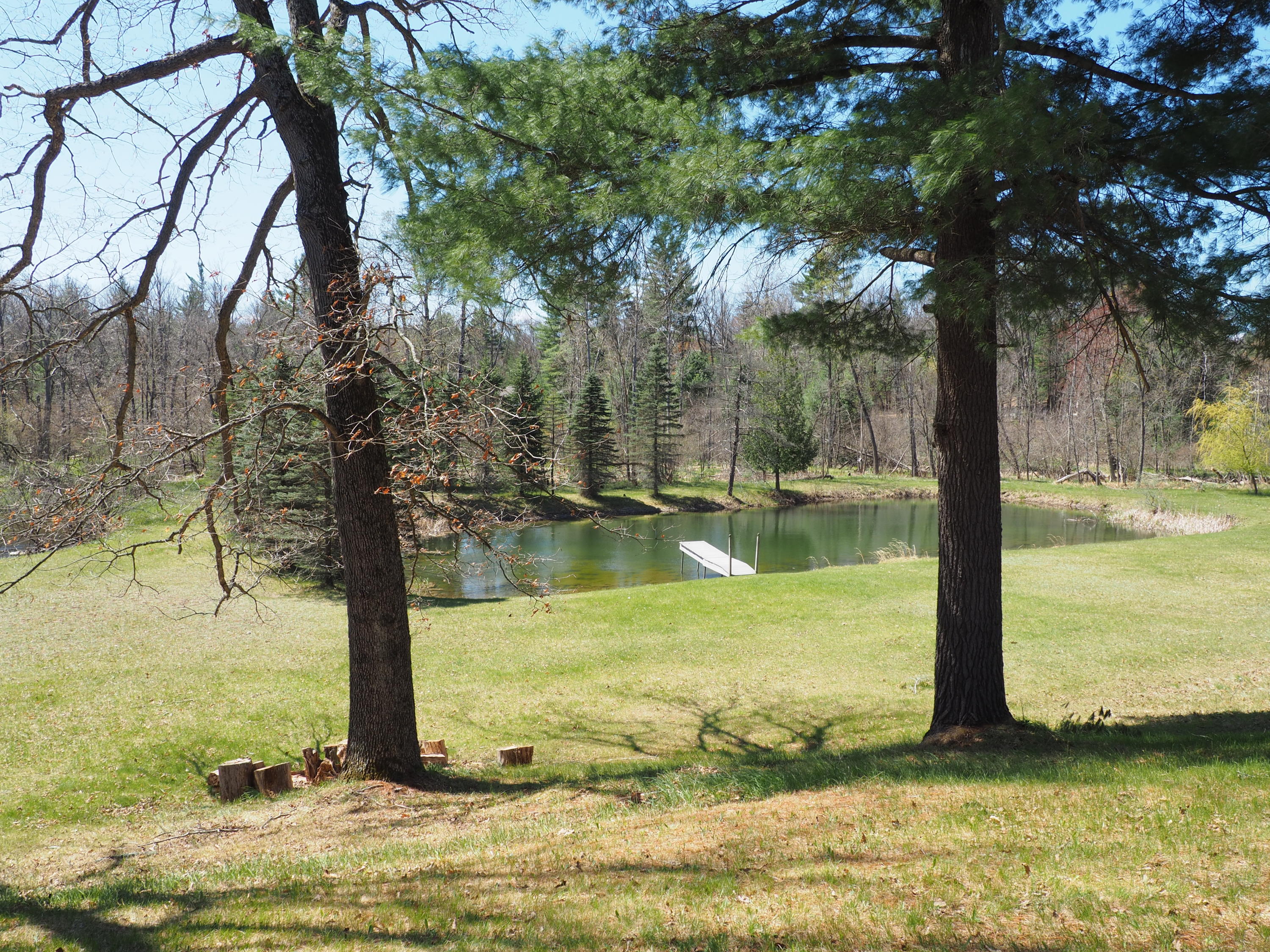 9149 North Bass Lake Road Irons, MI 49644 - Photo 139 of 139 P4290142
