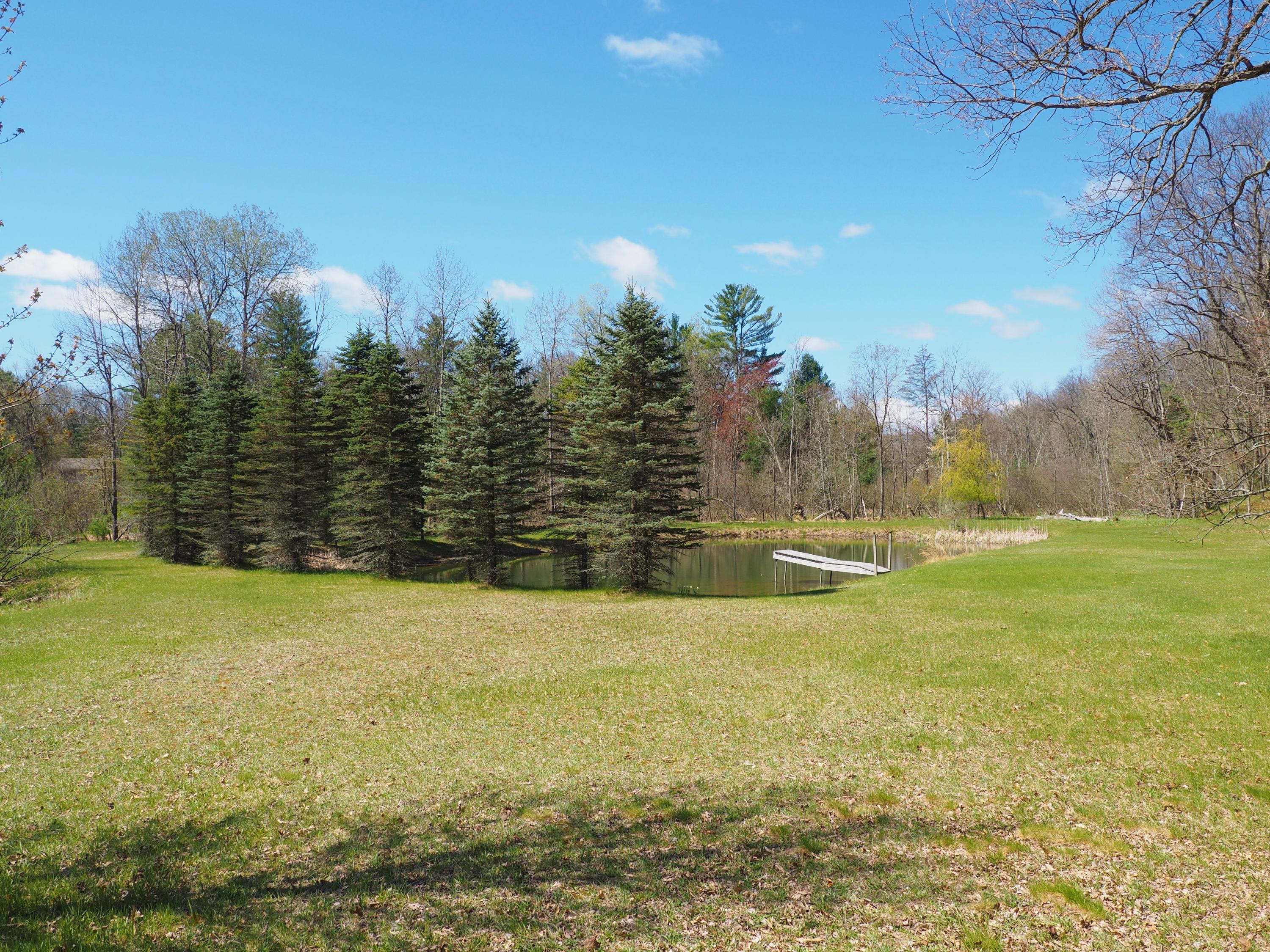 9149 North Bass Lake Road Irons, MI 49644 - Photo 59 of 139 P4290051