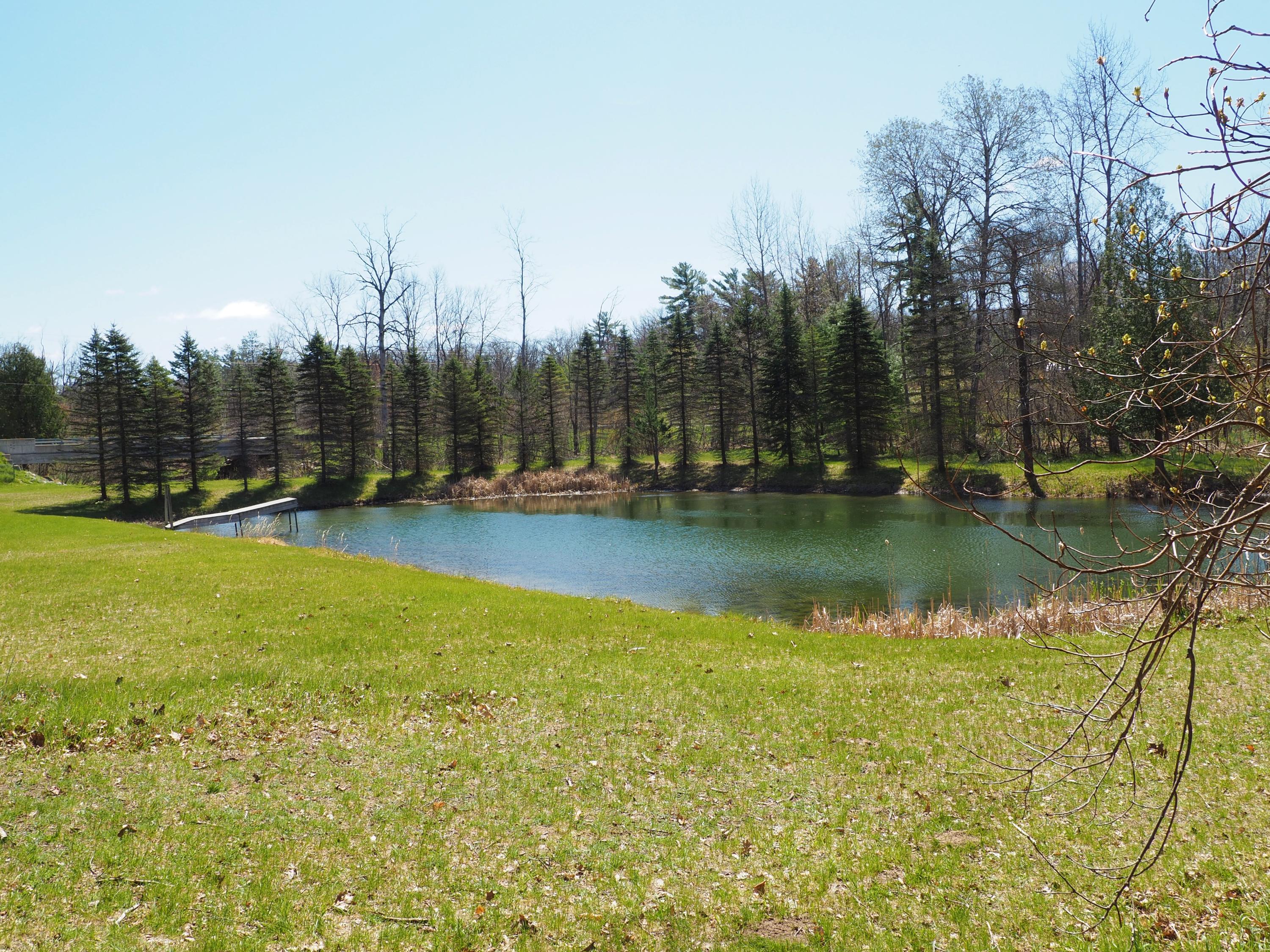 9149 North Bass Lake Road Irons, MI 49644 - Photo 76 of 139 P4290071