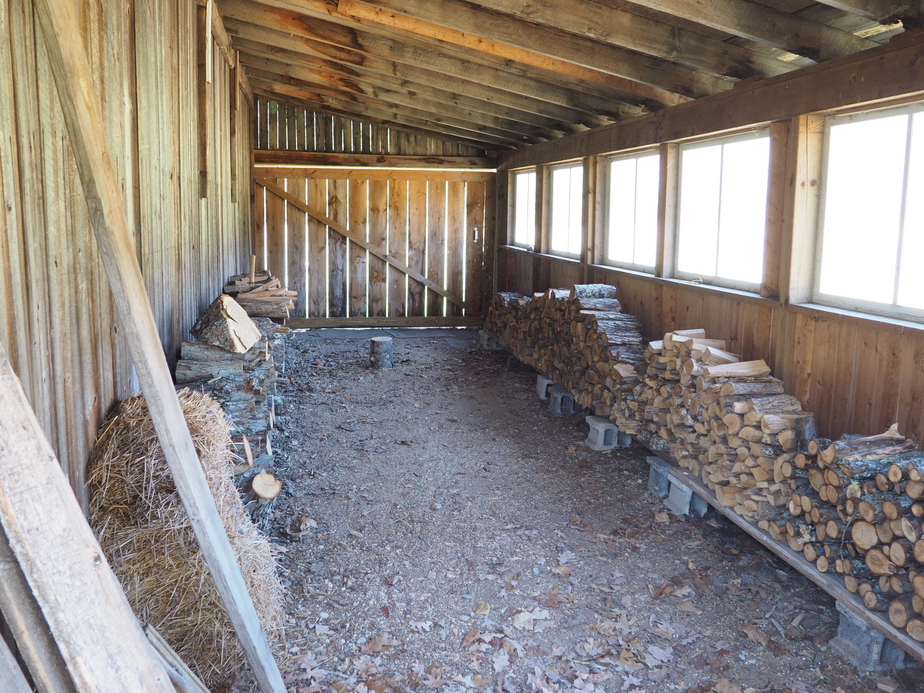 9149 North Bass Lake Road Irons, MI 49644 - Photo 92 of 139 P4290088