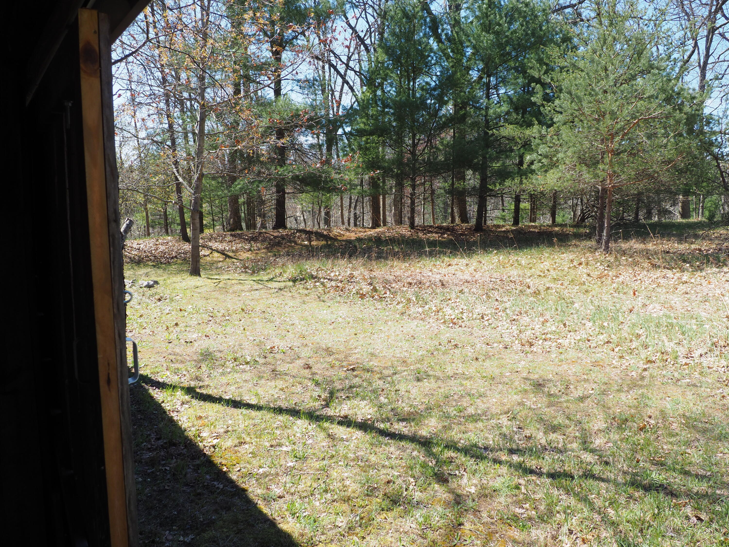 9149 North Bass Lake Road Irons, MI 49644 - Photo 93 of 139 P4290089