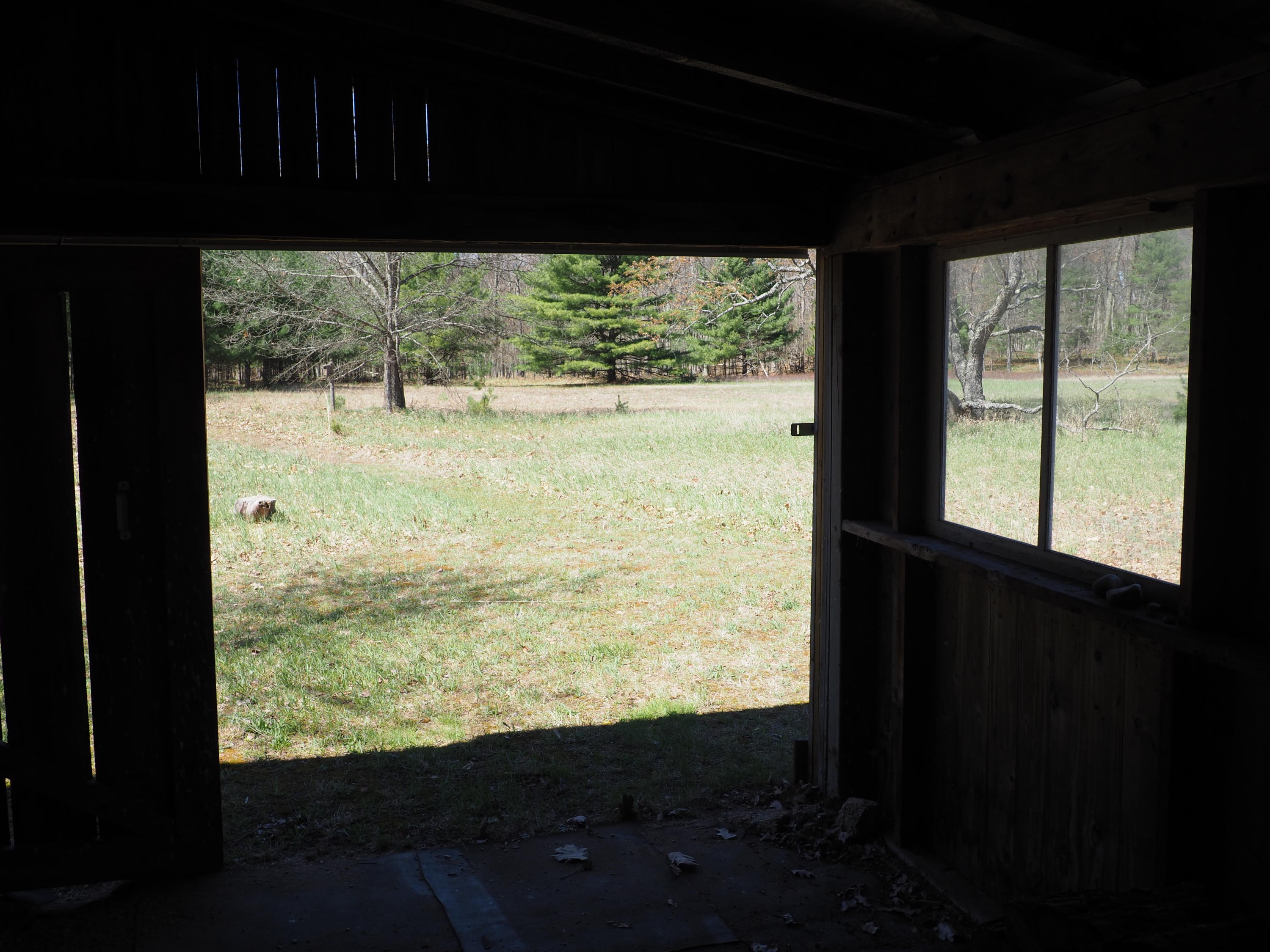 9149 North Bass Lake Road Irons, MI 49644 - Photo 94 of 139 P4290090