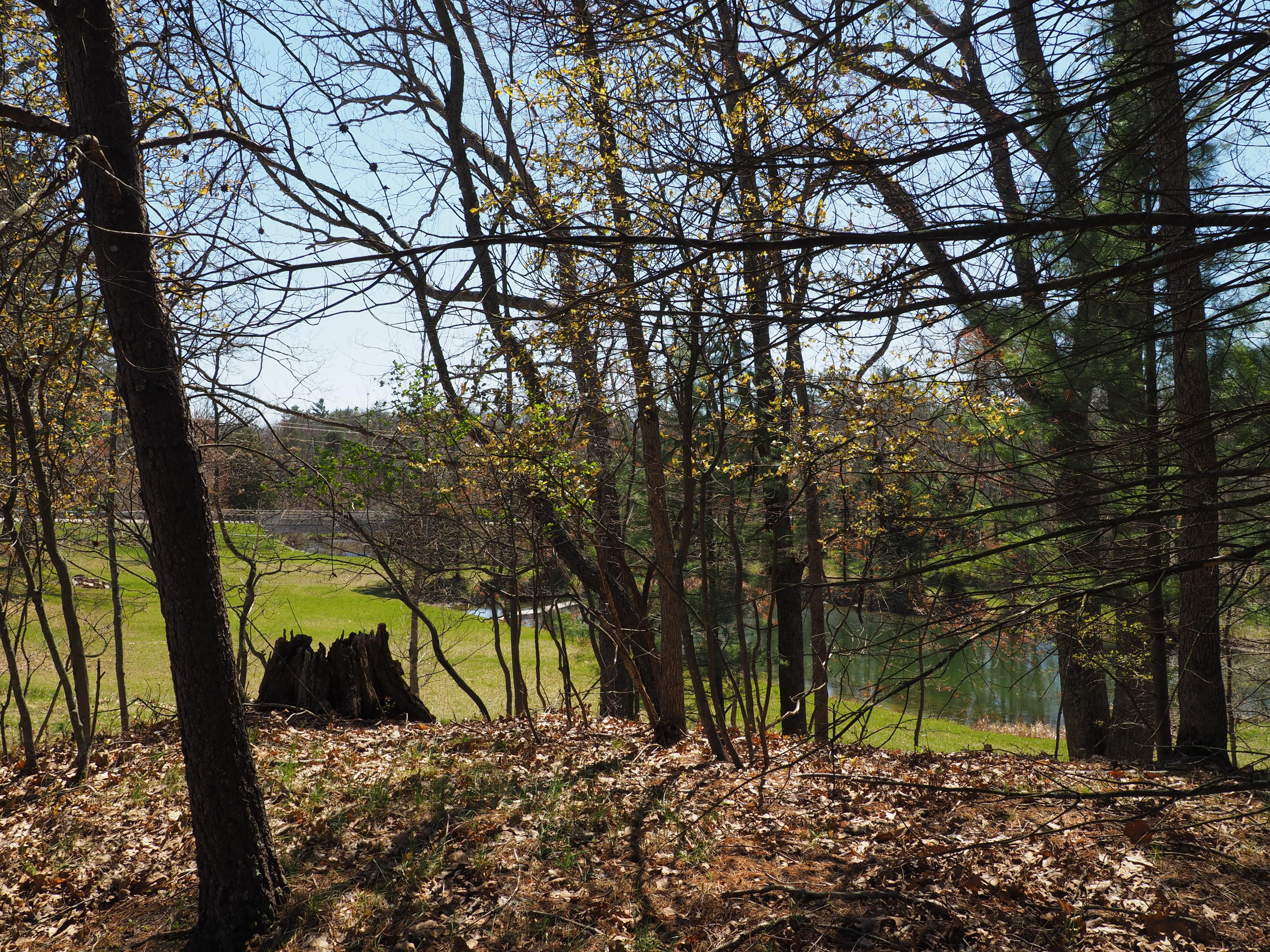 9149 North Bass Lake Road Irons, MI 49644 - Photo 100 of 139 P4290097