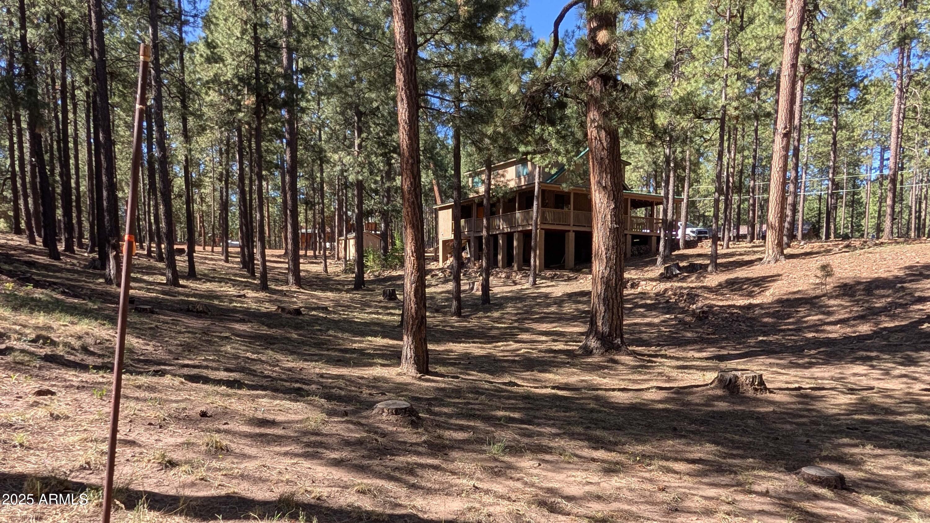 2425 Tall Trees Loop Forest Lakes, AZ 85931 - Photo 41 of 43 a view of a park with trees