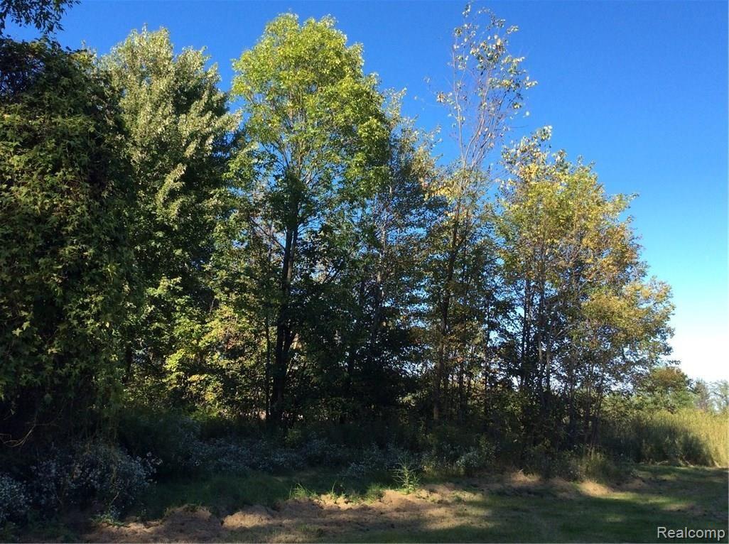 14756 Terry Road Allenton, MI 48002 - Photo 8 of 42 image.jpeg