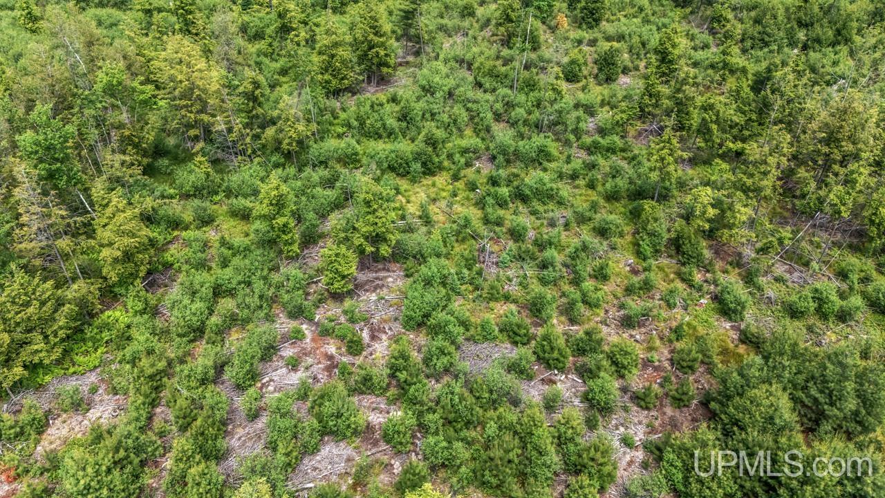 13.75 13.75 Road Escanaba, MI 49829 - Photo 15 of 16