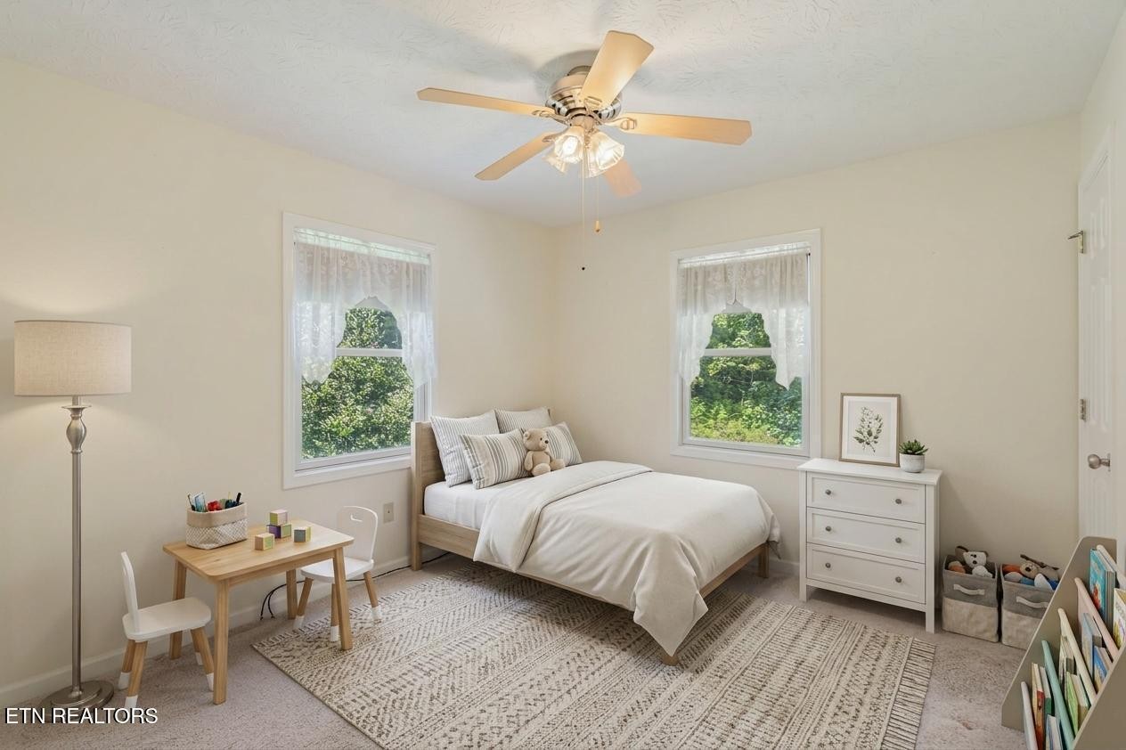 131 Pear Tree Way Del Rio, TN 37727 - Photo 17 of 34 Gallery Image 17