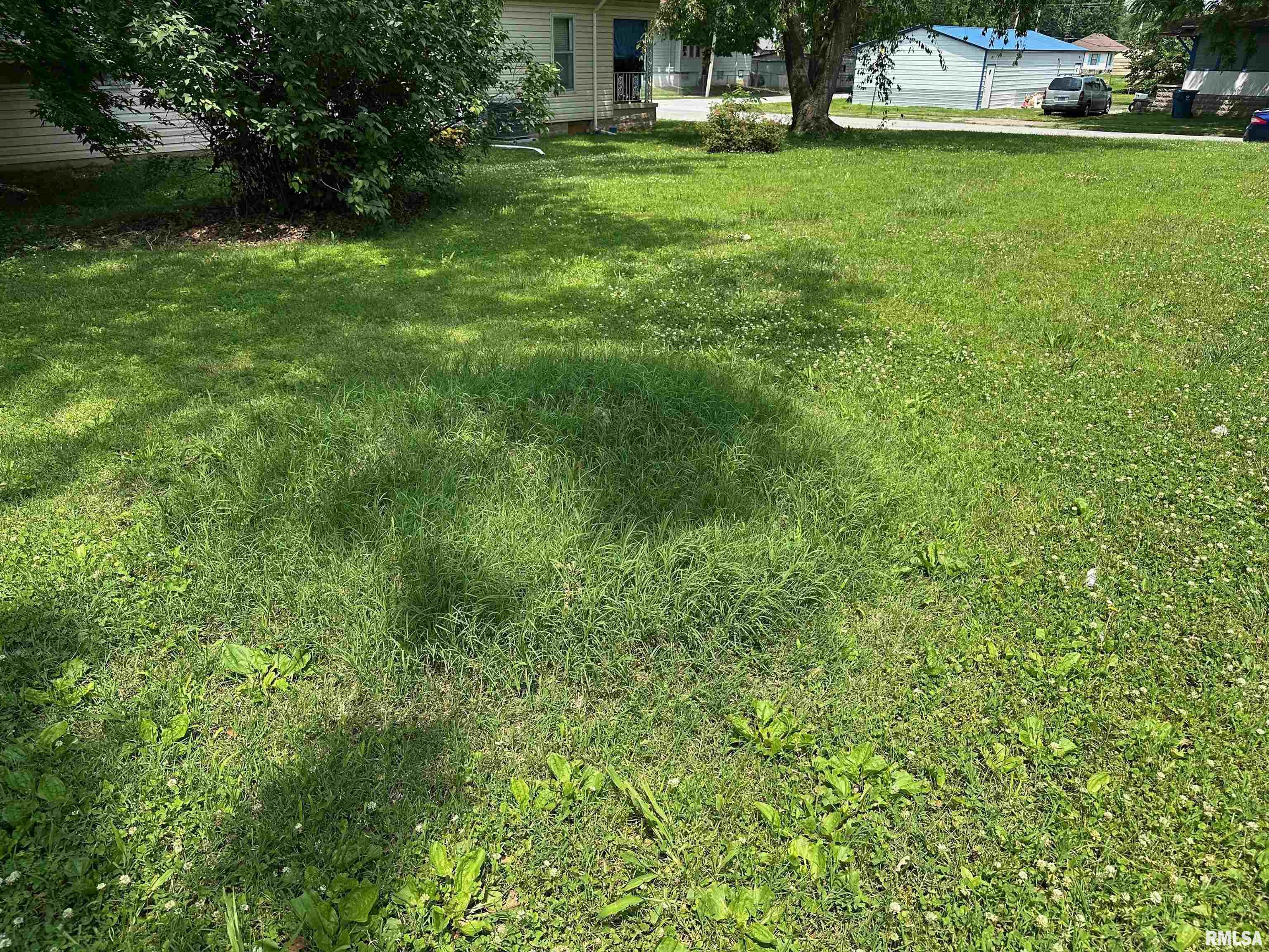 603 South Jesse Street Christopher, IL 62822 - Photo 3 of 7