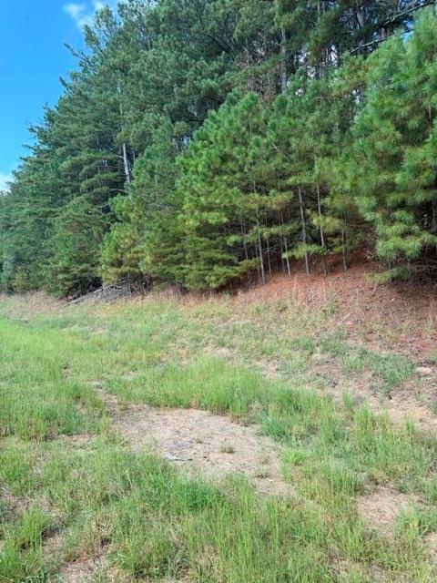 0 Fairview Road Ball Ground, GA 30107 - Photo 3 of 11 Gallery Image 3