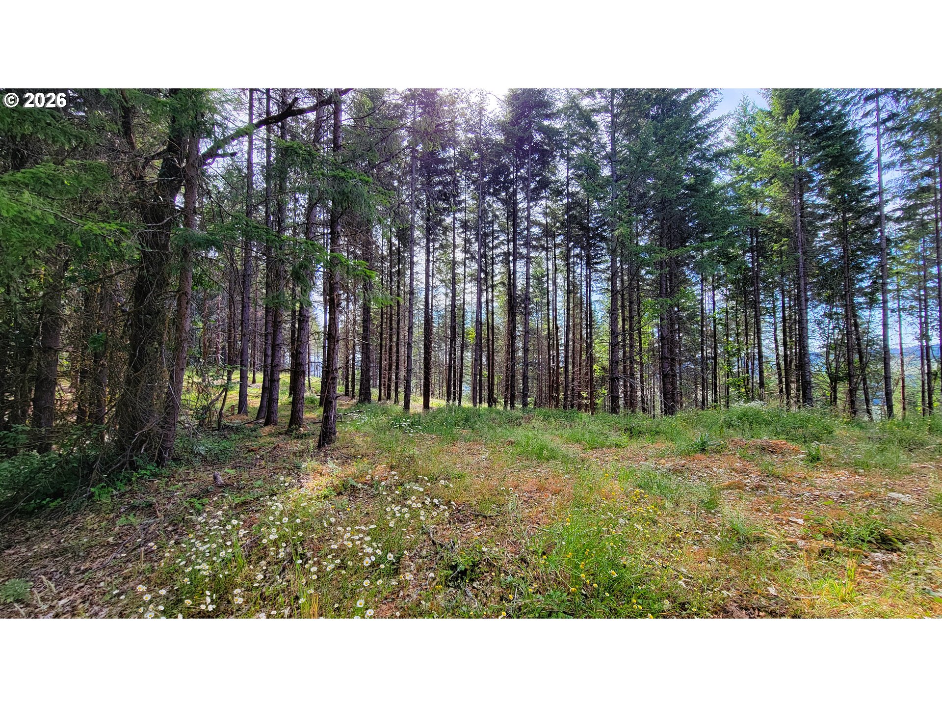 86830 Northill Ranch Road, Unit 106 Eugene, OR 97402 - Photo 11 of 15