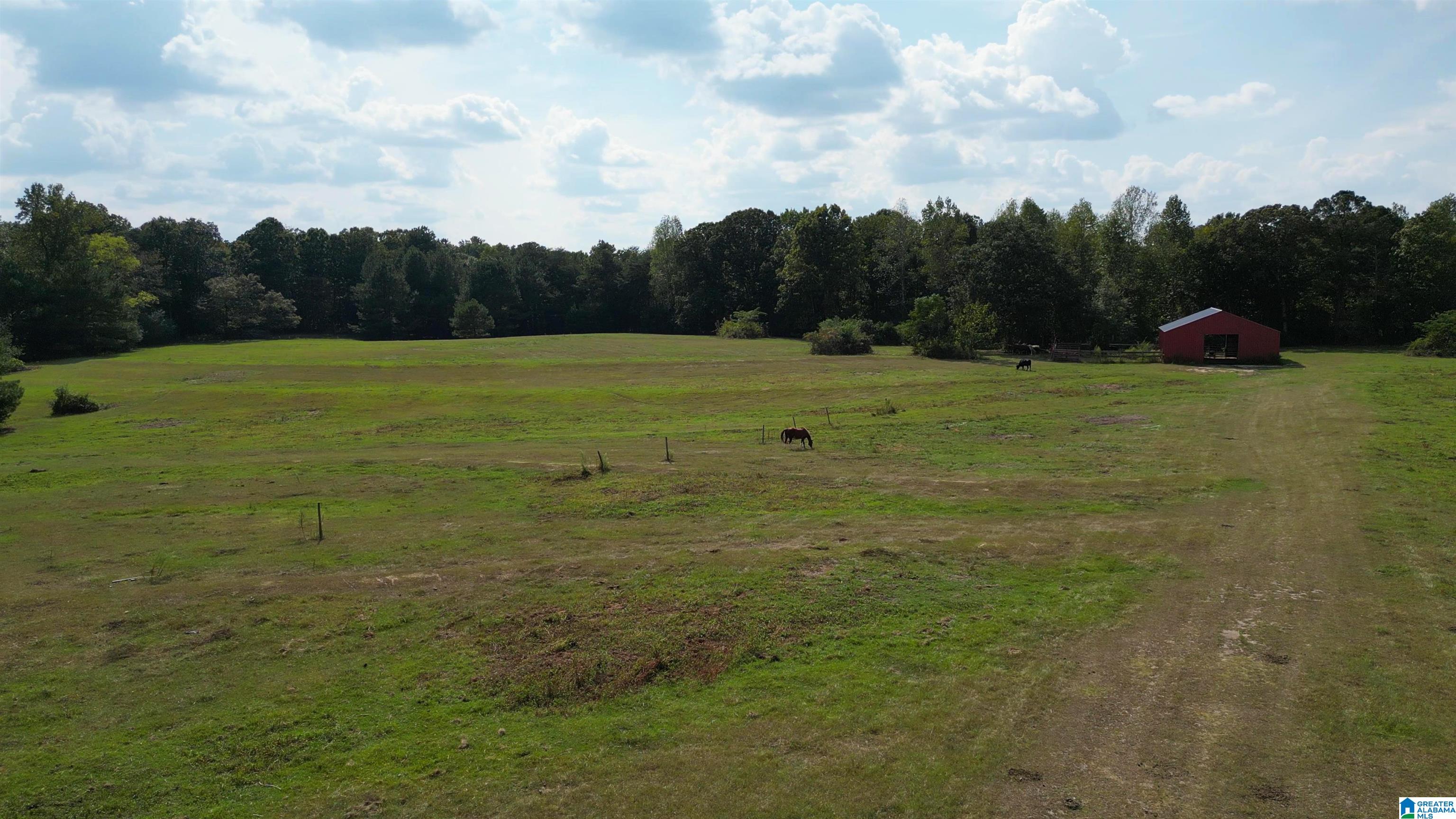1417 Steve Crowder Road Bessemer, AL 35023 - Photo 5 of 27