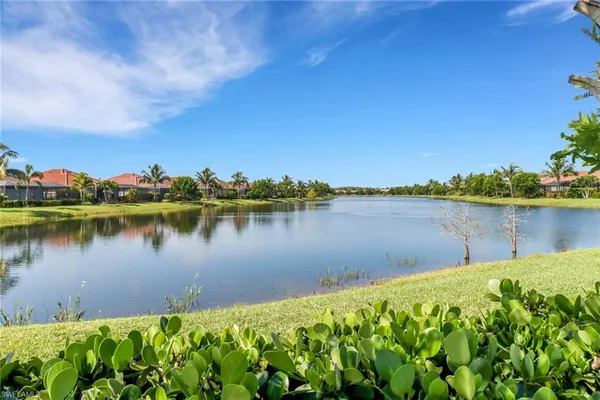 a view of a lake with a building in the background