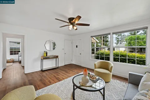 a living room with furniture a rug potted plant and a window