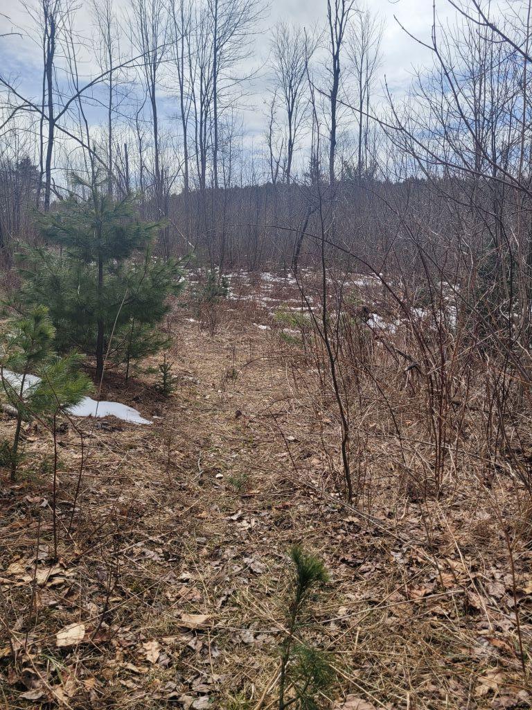 609 Halldale Road Montville, ME 04941 - Photo 6 of 10 Flat Land up hill