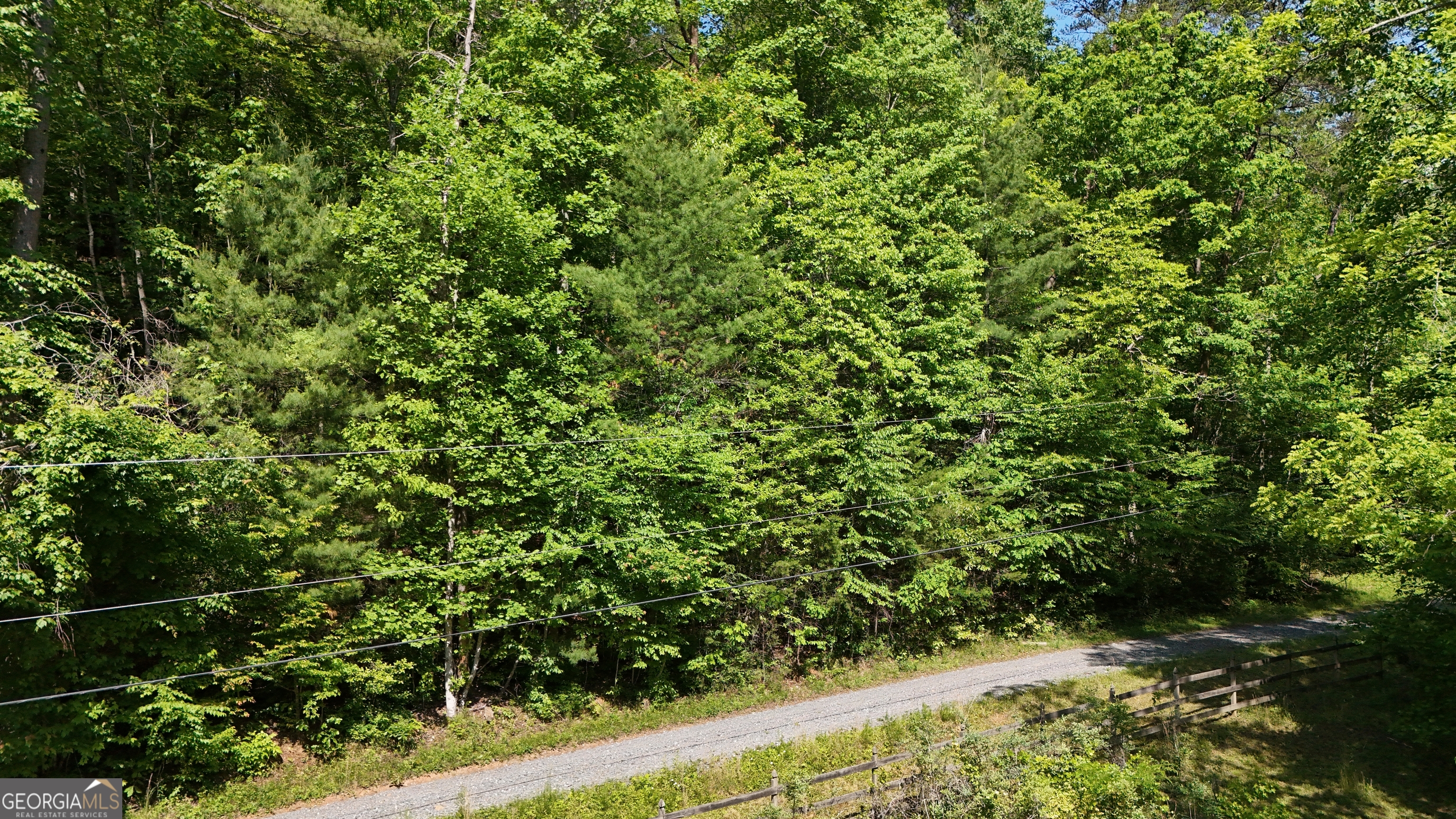 0 Gold Springs Road Ellijay, GA 30540 - Photo 10 of 13