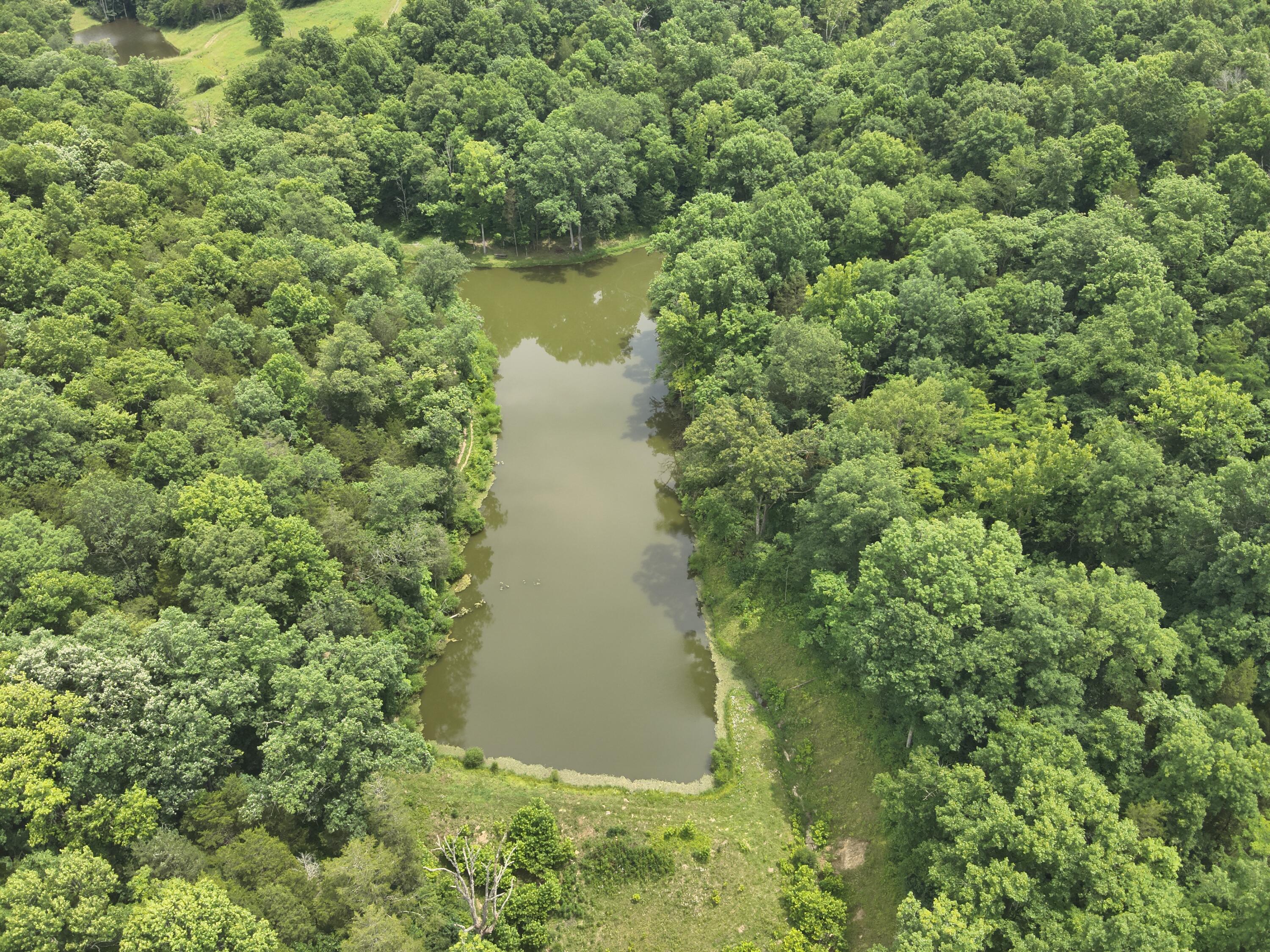 0 Kelly Ridge Road Irvine, KY 40336 - Photo 25 of 39 DJI_20260625135546_0010_V