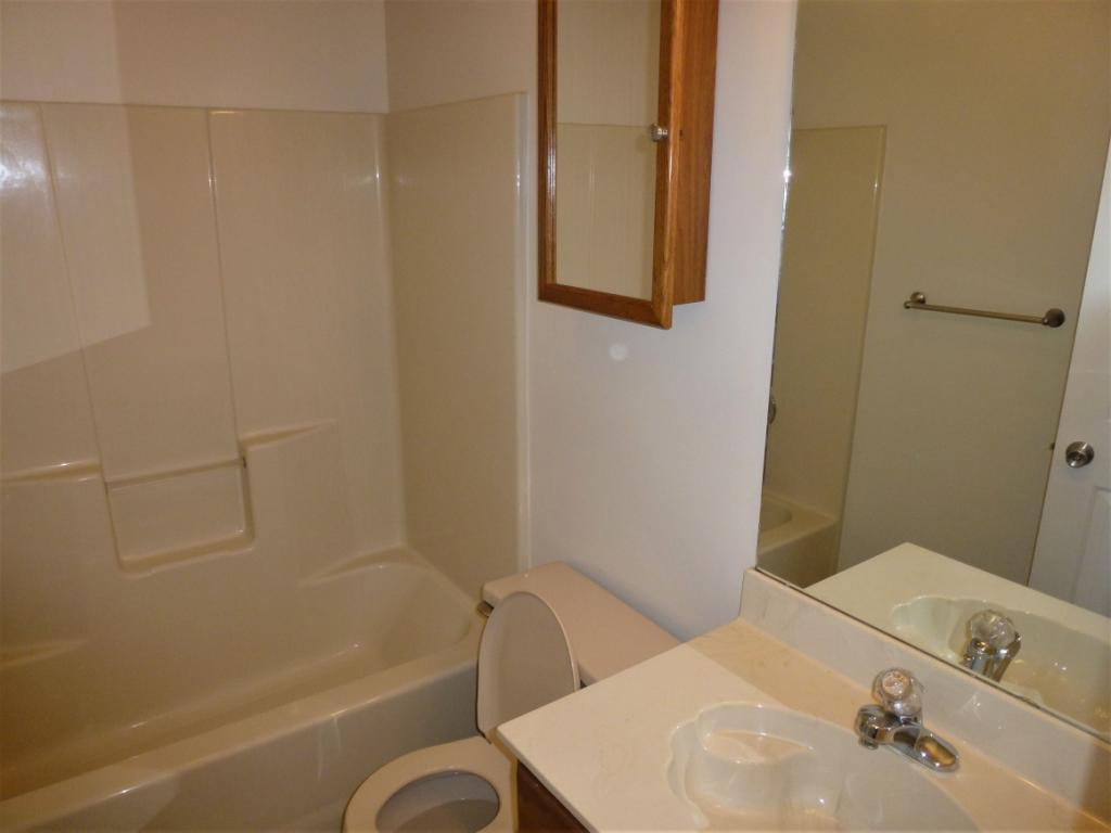 249 Springview Drive Gray, TN 37615 - Photo 10 of 18 Photo 10