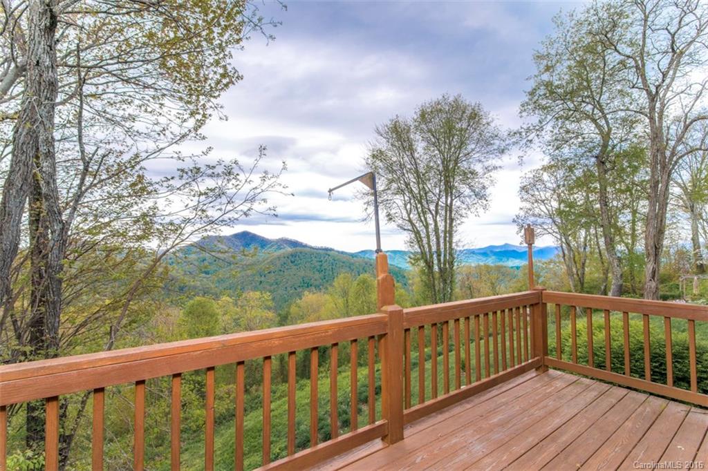302 South Cove Road Canton, NC 28716 - Photo 3 of 24
