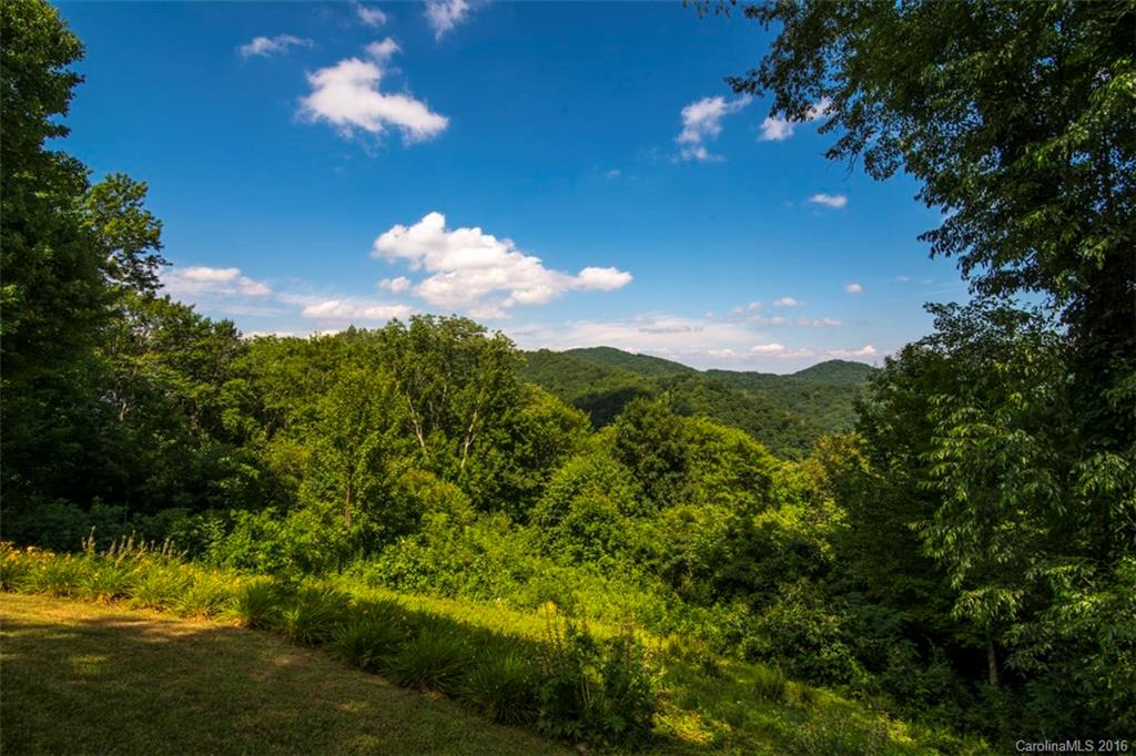 302 South Cove Road Canton, NC 28716 - Photo 23 of 24