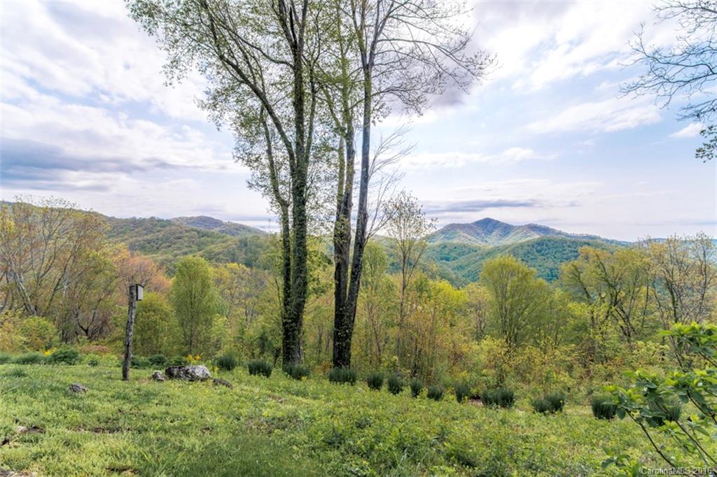 302 South Cove Road Canton, NC 28716 - Photo 4 of 24