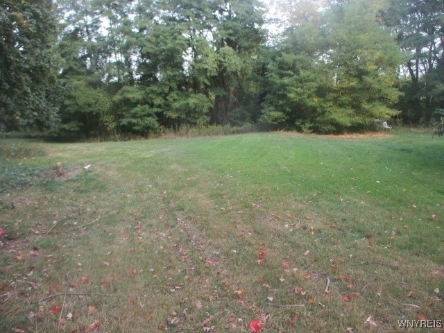 11714 Main Street Newstead, NY 14001 - Photo 10 of 11 yard