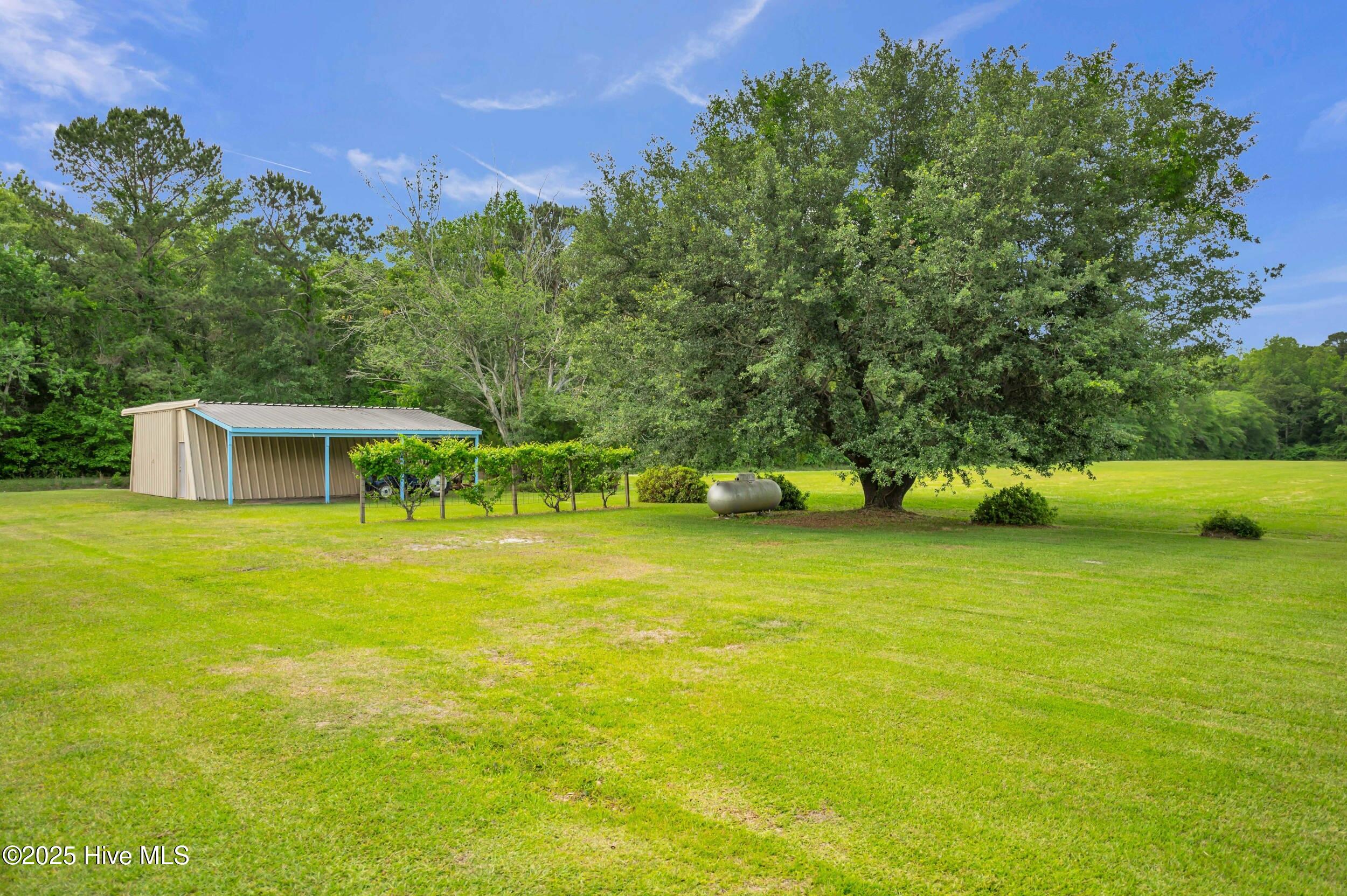 506 Dew Oil Plant Road Delco, NC 28436 - Photo 41 of 61 506dewoilplantrd00041