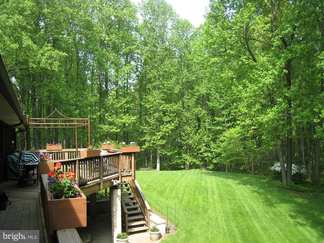 2117 Sondra Court Silver Spring, MD 20905 - Photo 3 of 30 Backyard in spring