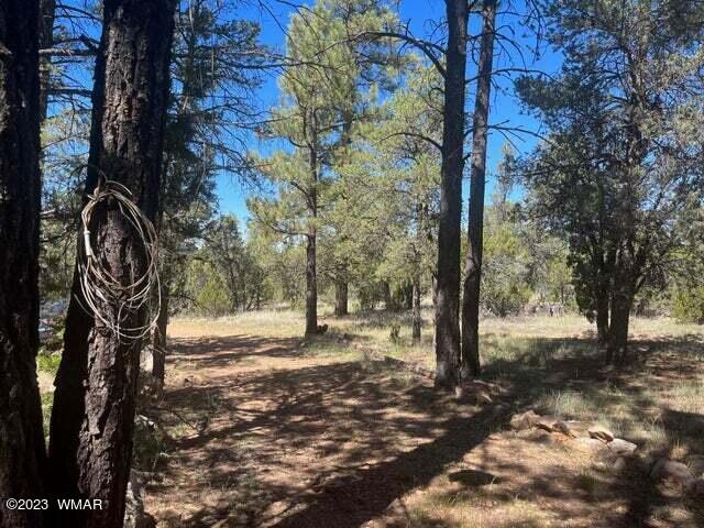 3233 Bigler Road Overgaard, AZ 85933 - Photo 32 of 34 Gallery Image 32
