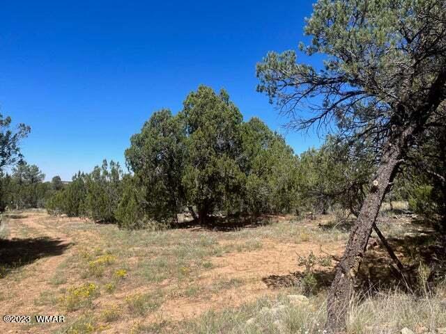 3233 Bigler Road Overgaard, AZ 85933 - Photo 33 of 34 Gallery Image 33