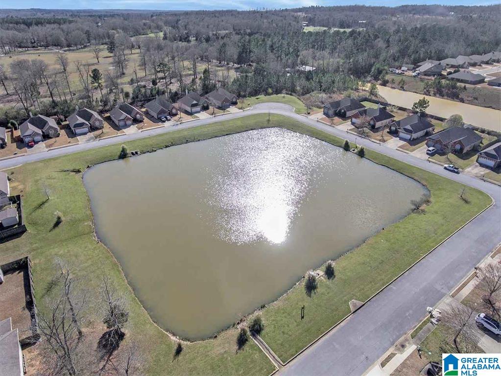 2013 Hidden Forest Lane Montevallo, AL 35115 - Photo 19 of 19