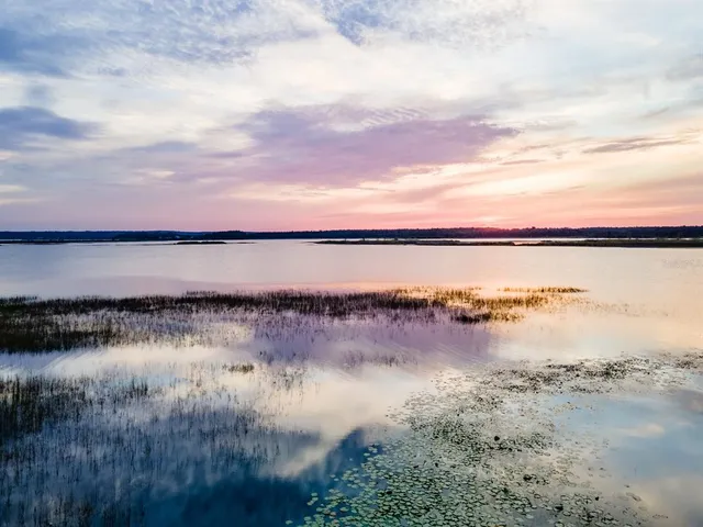 $685,000 | 25212 East Highway 316, Salt Springs, FL 32134