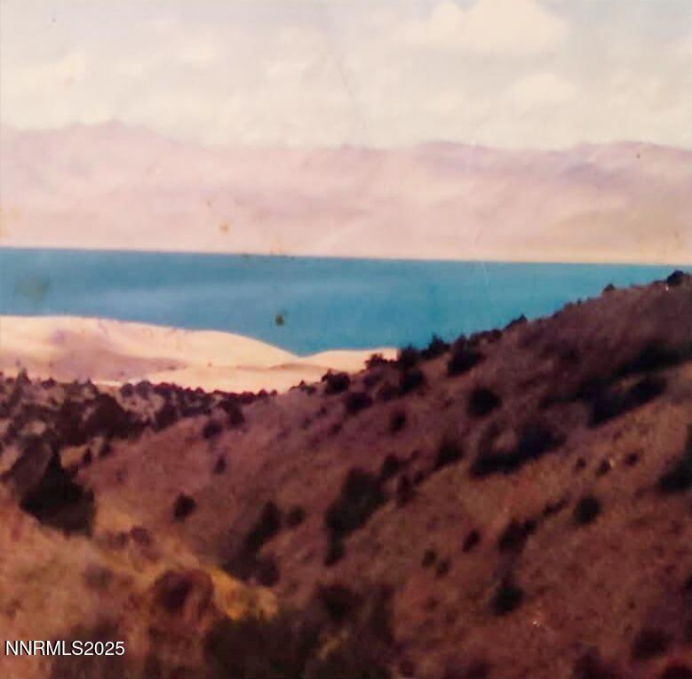 3296844154126690913 (002)