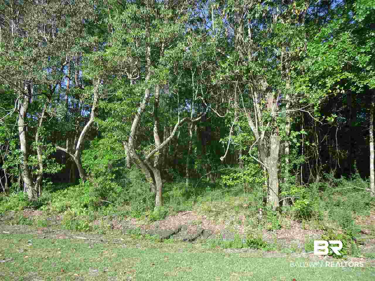 0 Hammock Road Elberta, AL 36530 - Photo 11 of 15