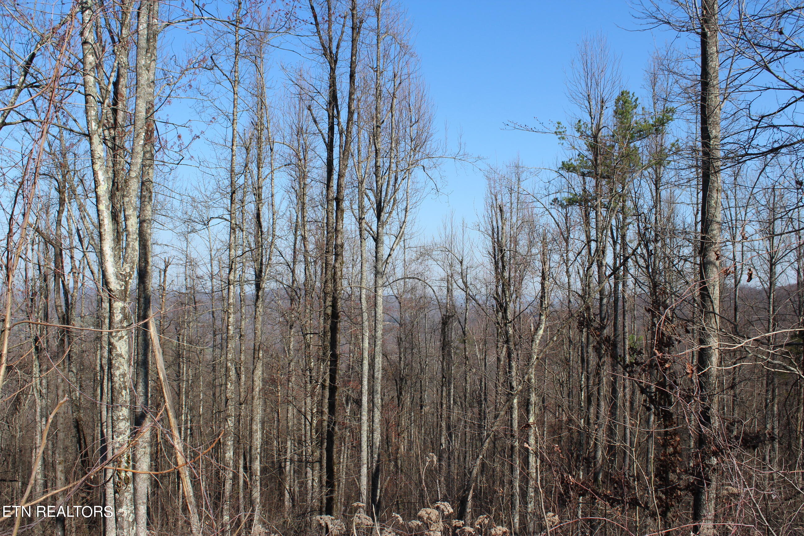 Hill Road Jamestown, TN 38556 - Photo 3 of 6 IMG_5345