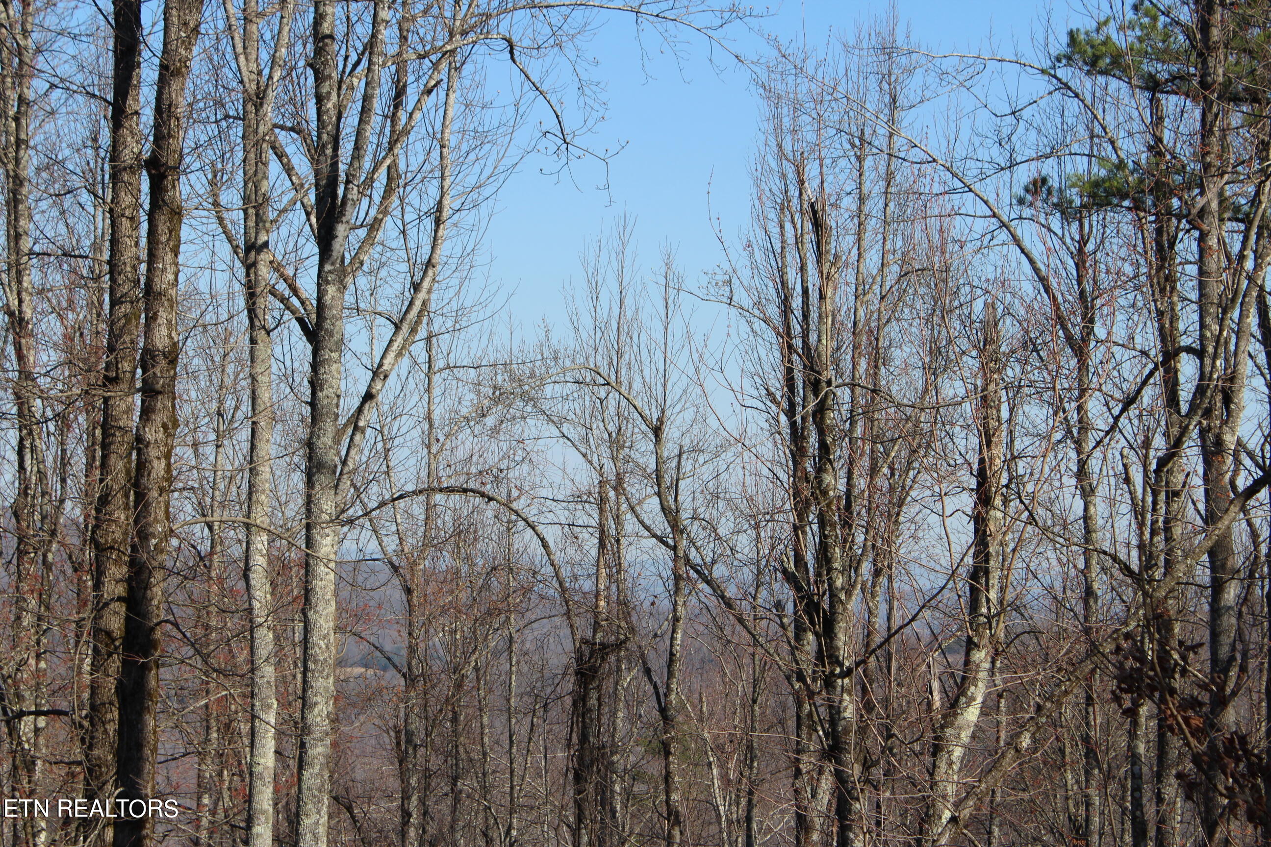 Hill Road Jamestown, TN 38556 - Photo 4 of 6 IMG_5346