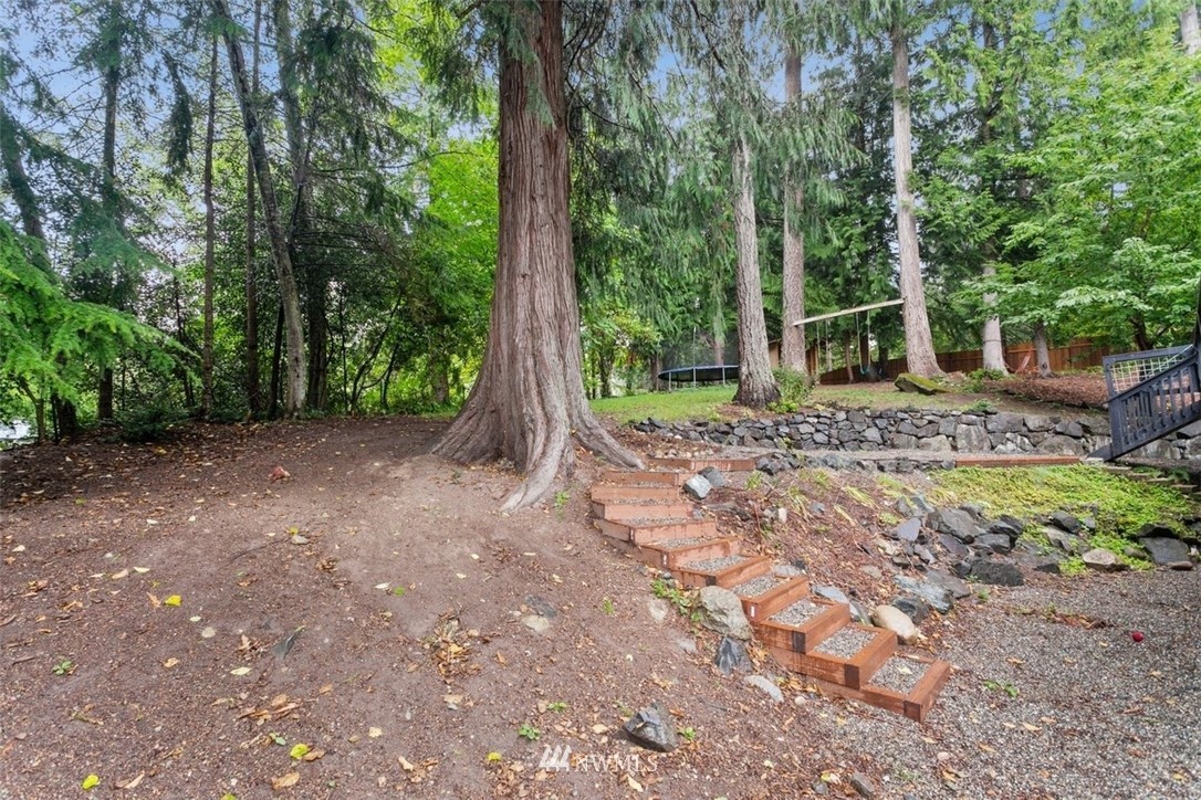 5680 Northeast Foster Road Bainbridge Island, WA 98110 - Photo 22 of 23 a view of a forest with trees