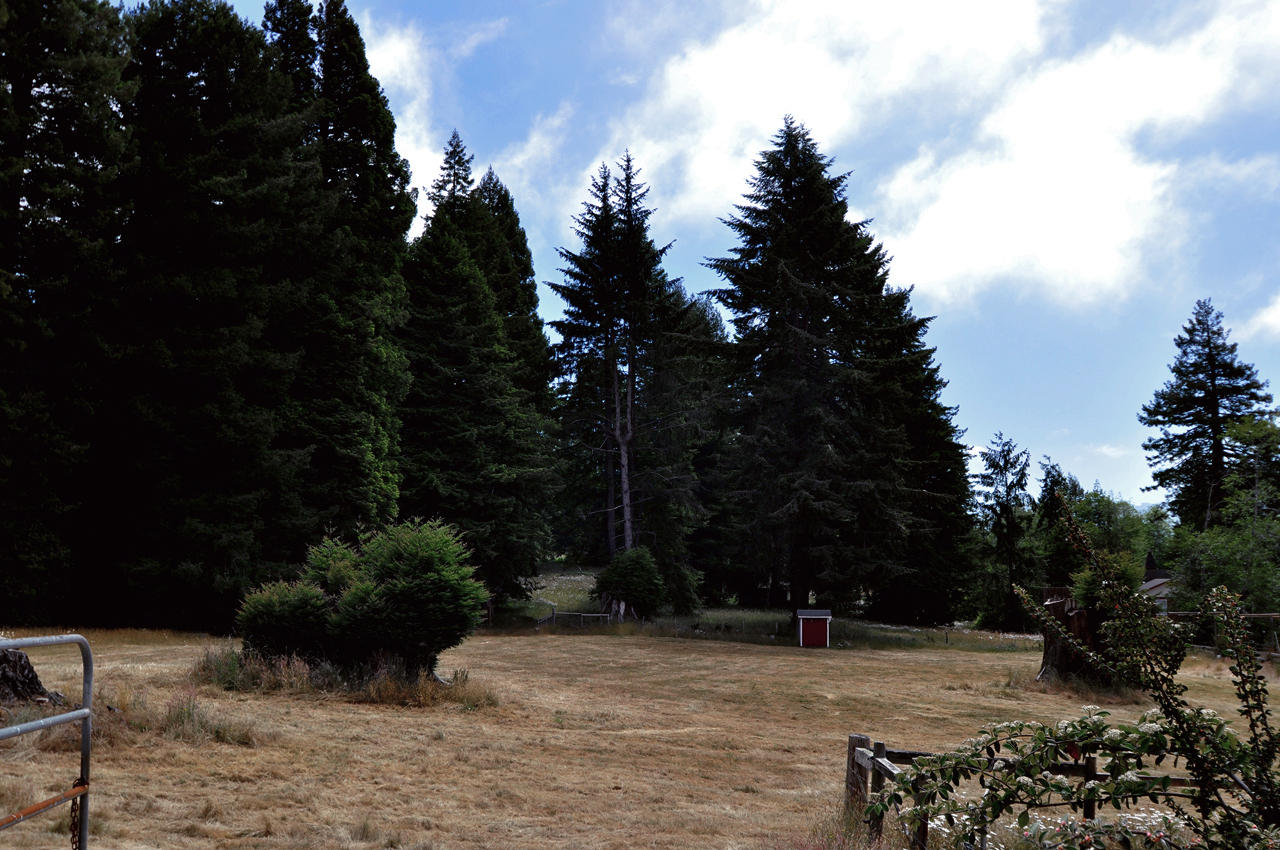 227 Lucchesi Road Arcata, CA 95521 - Photo 14 of 23