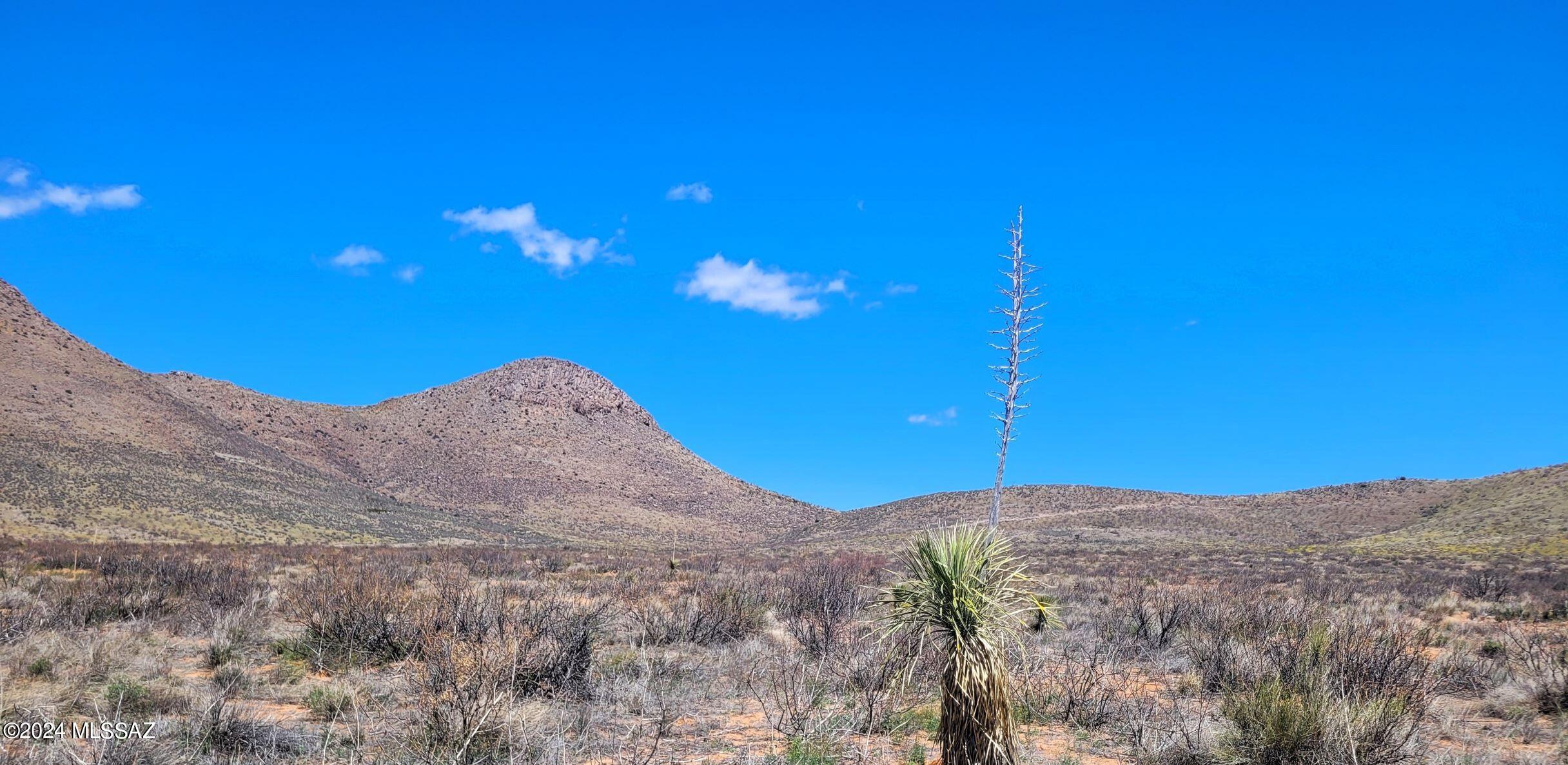 20 Ac Off Mule Deer Road Pearce, AZ 85625 - Photo 8 of 19