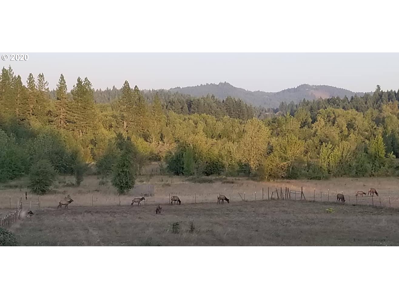 28165 Spencer Creek Road Eugene, OR 97405 - Photo 23 of 32