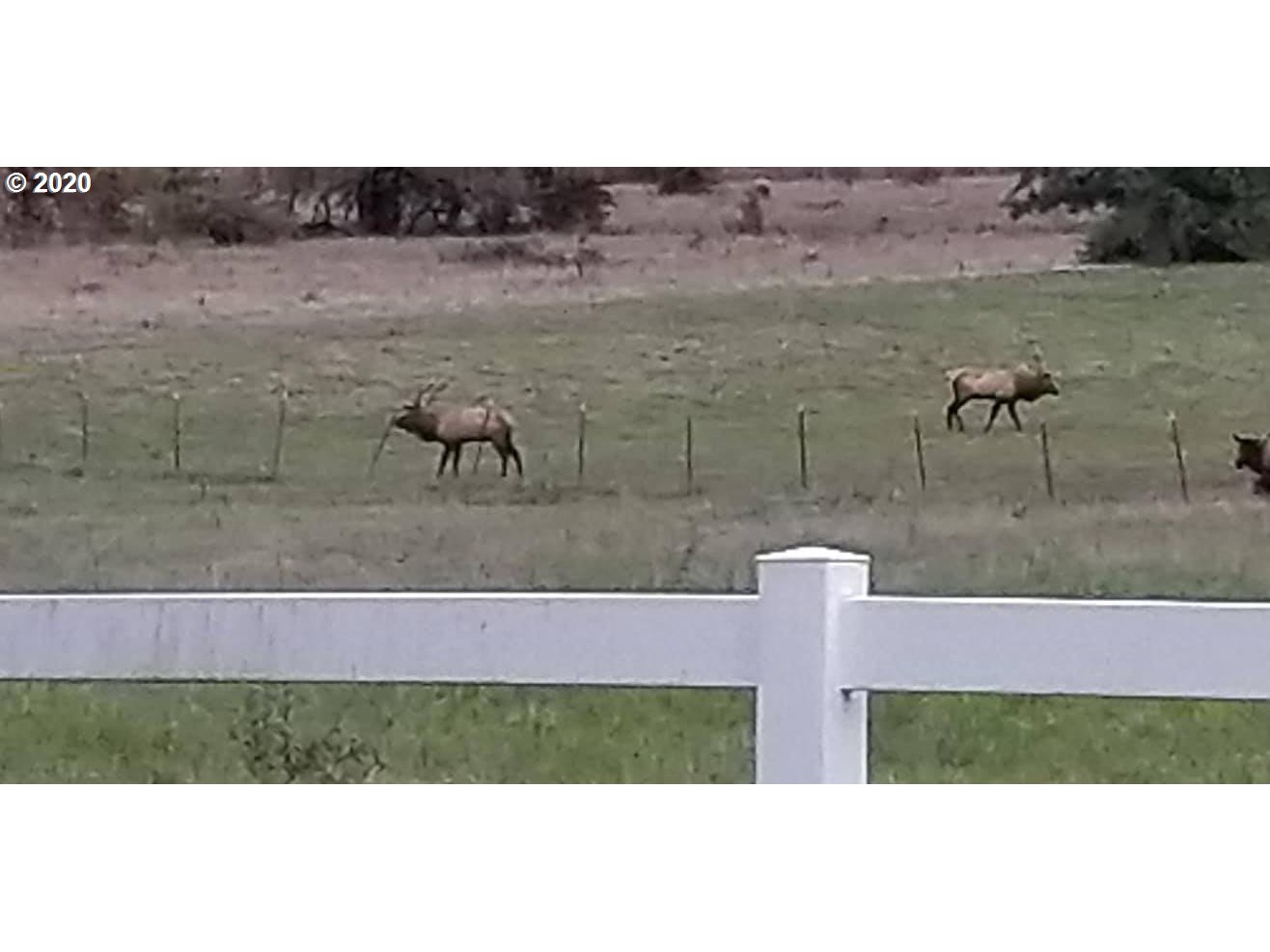 28165 Spencer Creek Road Eugene, OR 97405 - Photo 27 of 32