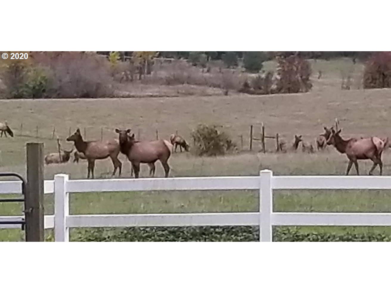 28165 Spencer Creek Road Eugene, OR 97405 - Photo 30 of 32