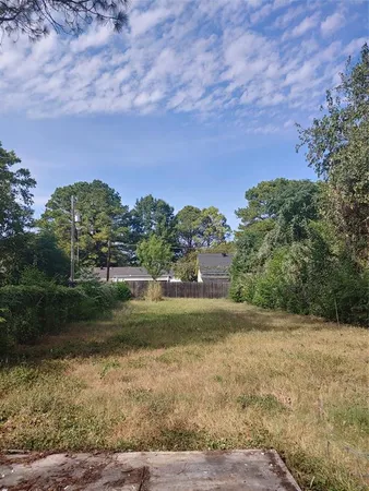 a view of a yard