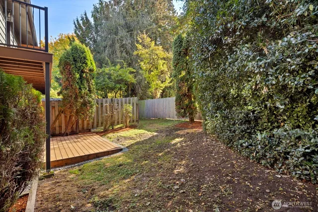 a view of backyard with tree